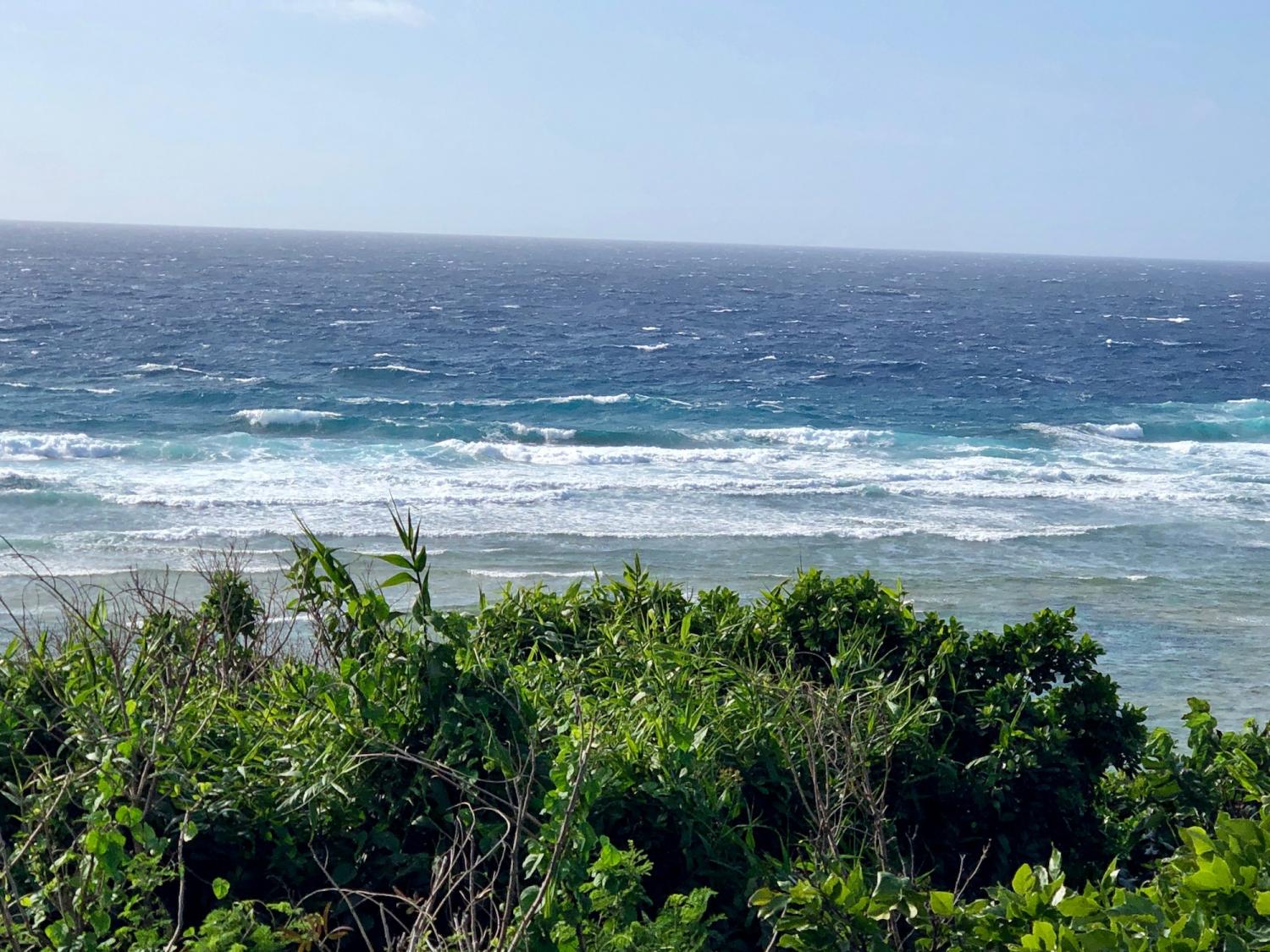 2019 Feb. 19th suicide point wave information 1