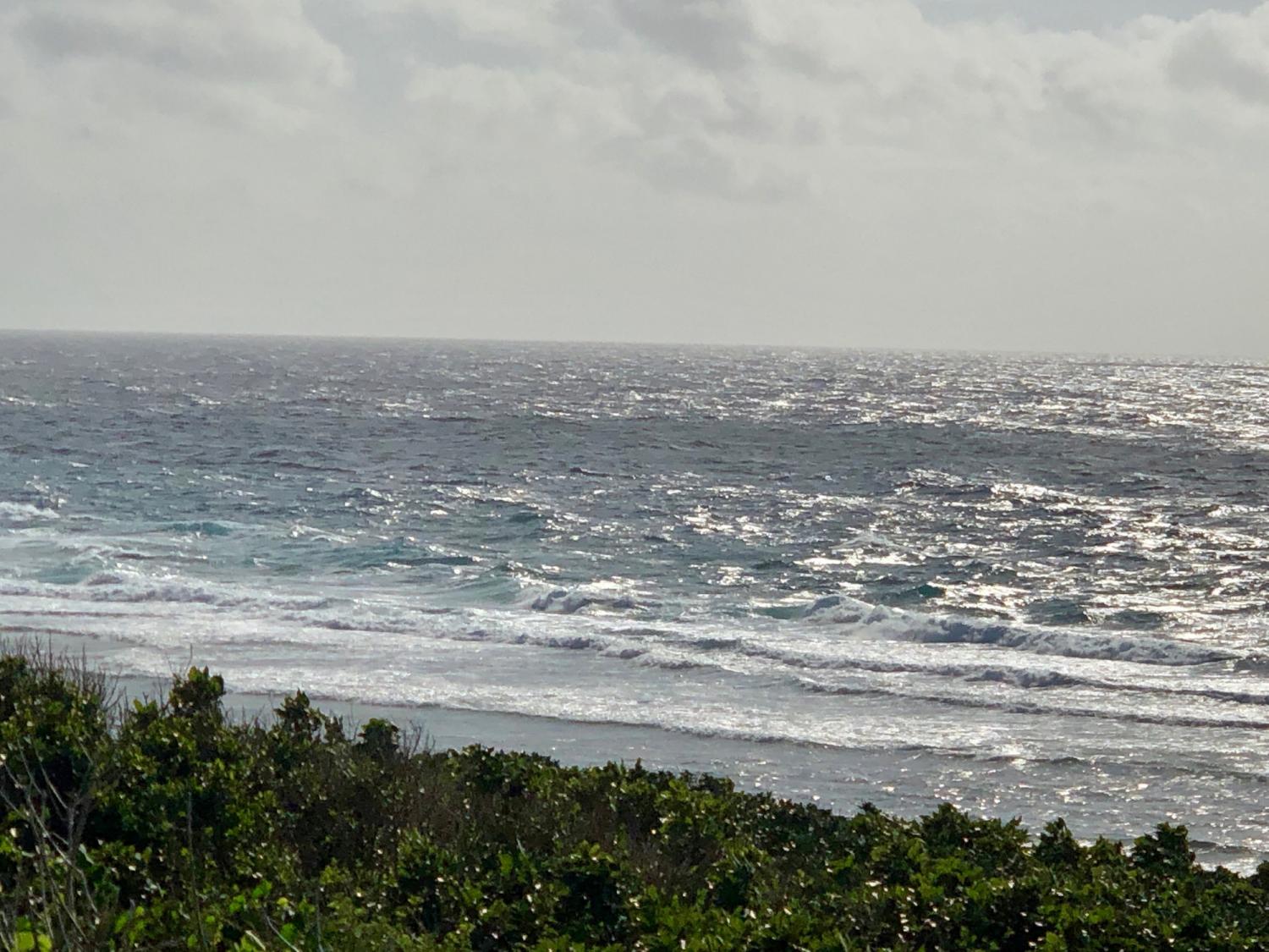 2019 Feb. 19th suicide point wave information 2