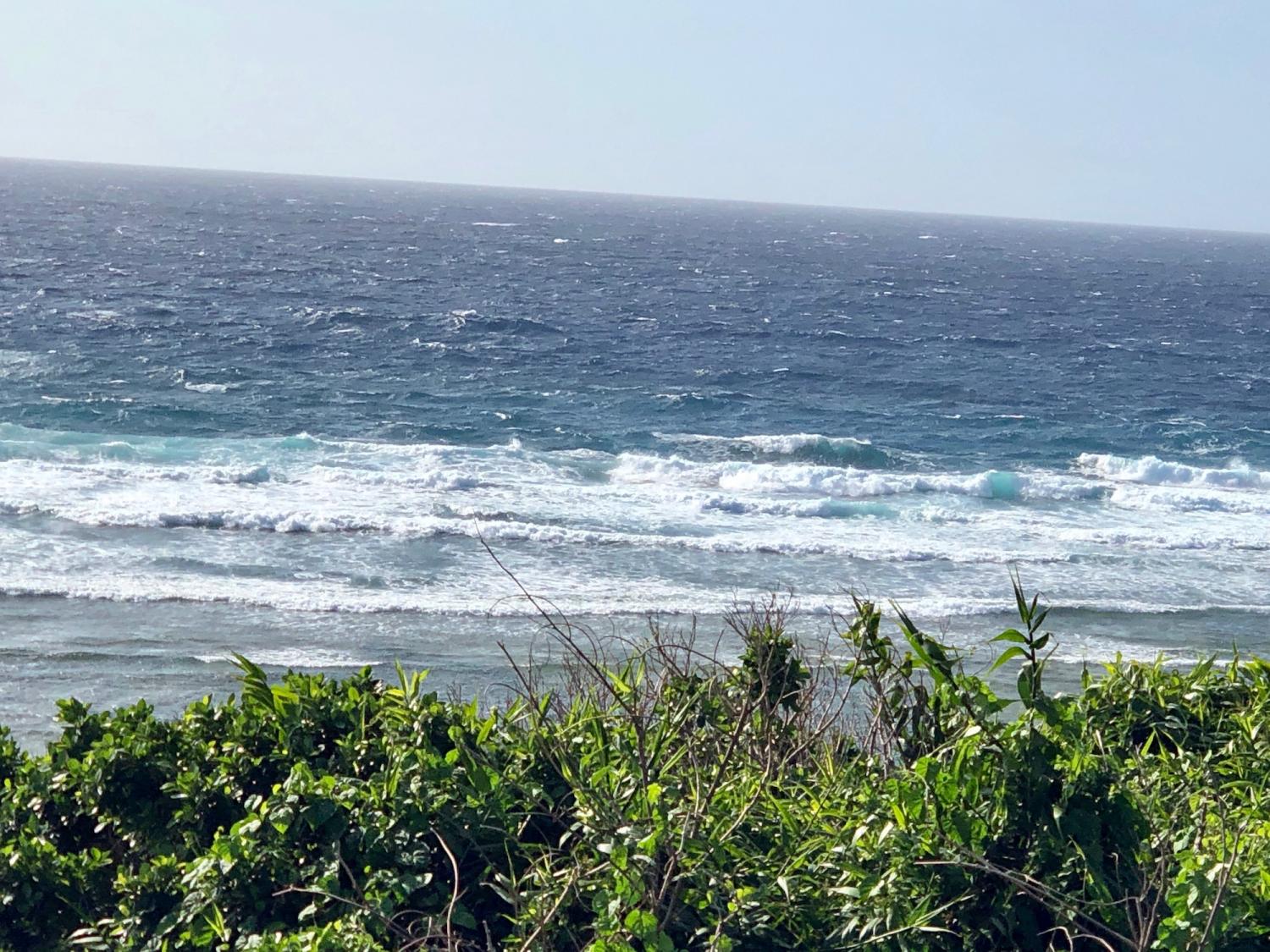 2019 Feb. 19th suicide point wave information 3