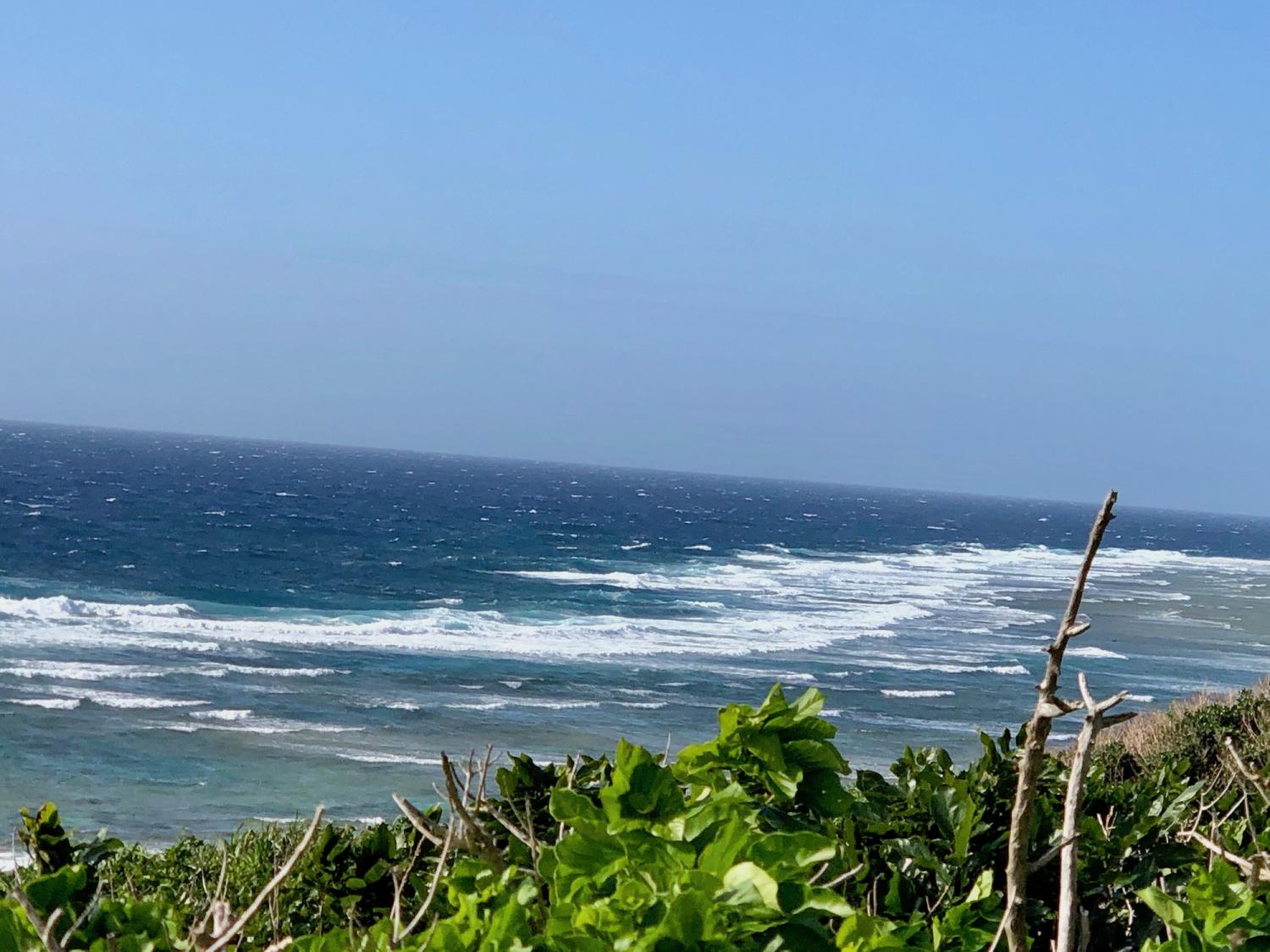2019 Feb. 19th suicide point wave information 4