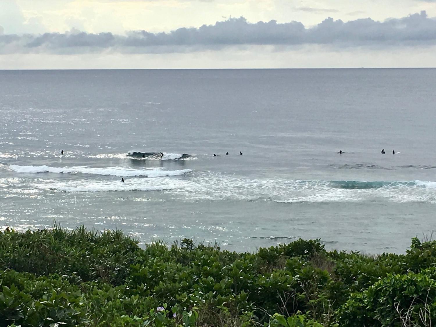 2019 Feb. 21th suicide point wave information 1