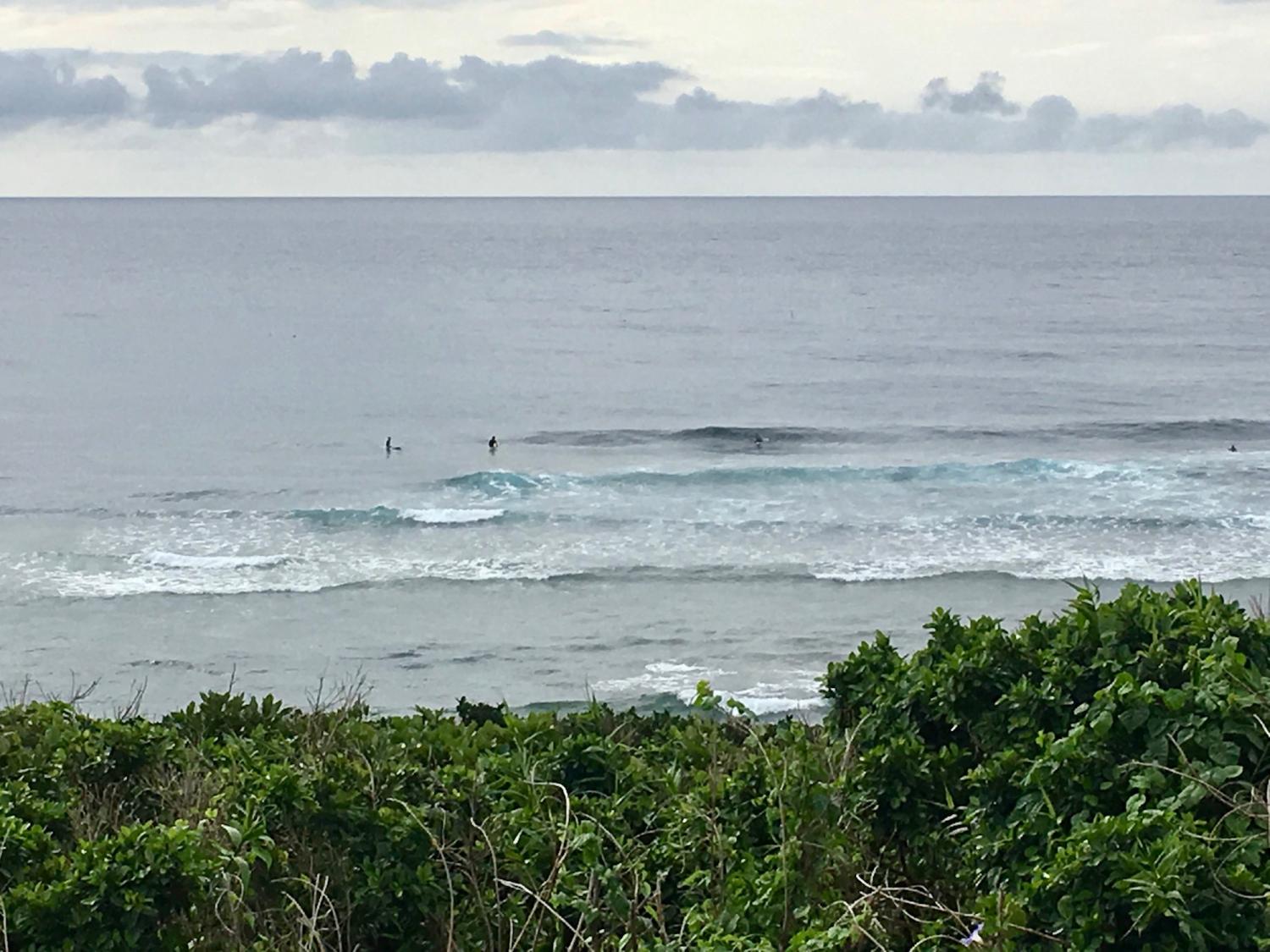 2019 Feb. 21th suicide point wave information 3