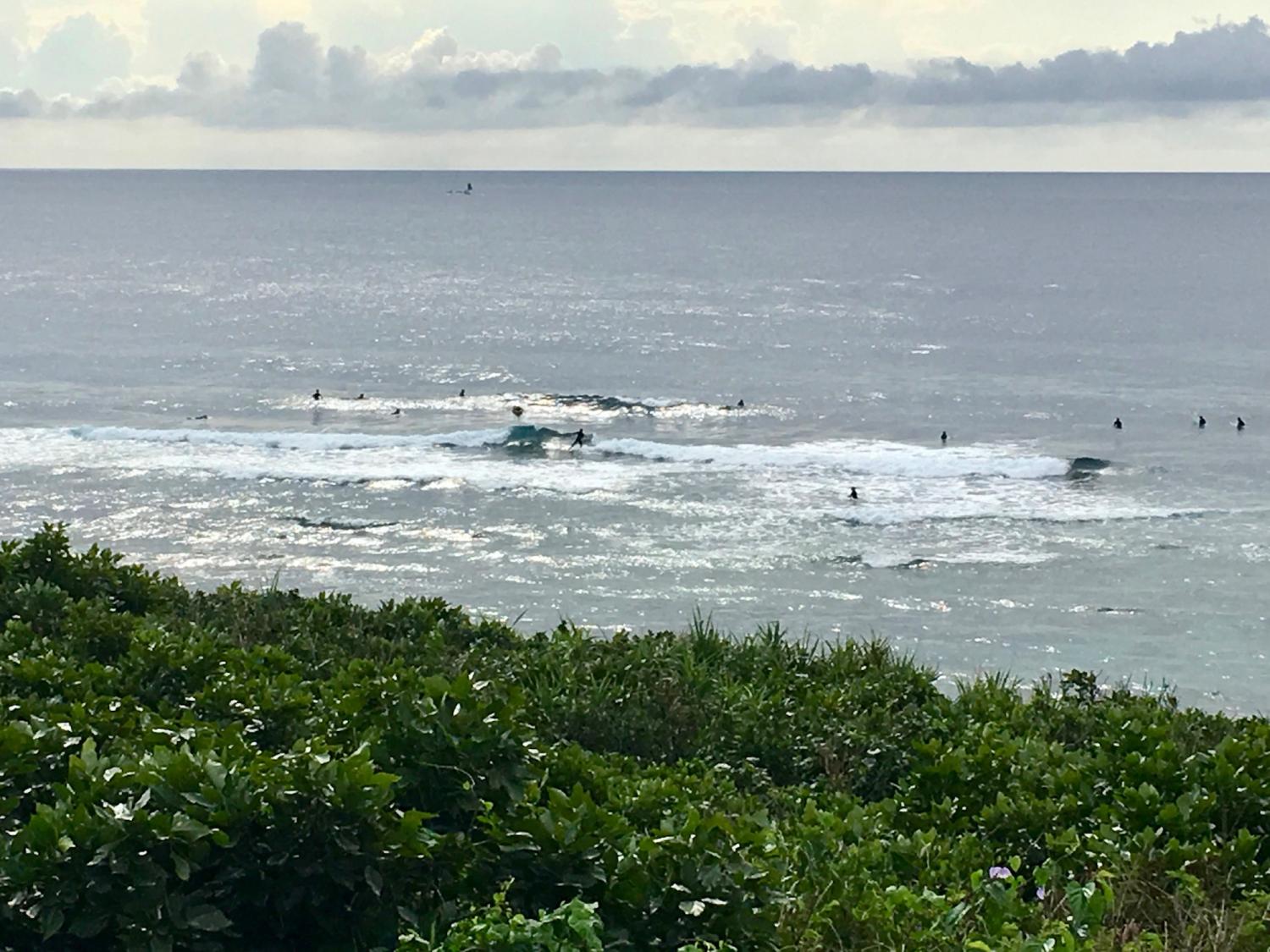 2019 Feb. 21th suicide point wave information 4