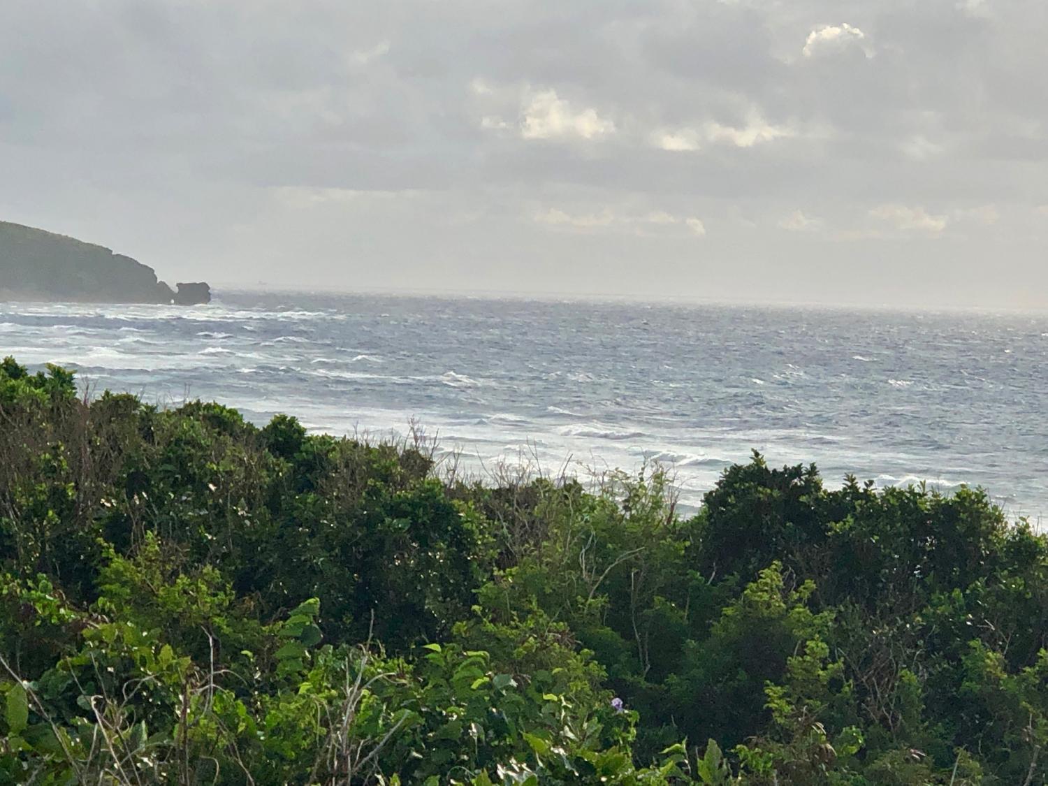 2019 Feb. 22th suicide point wave information 2