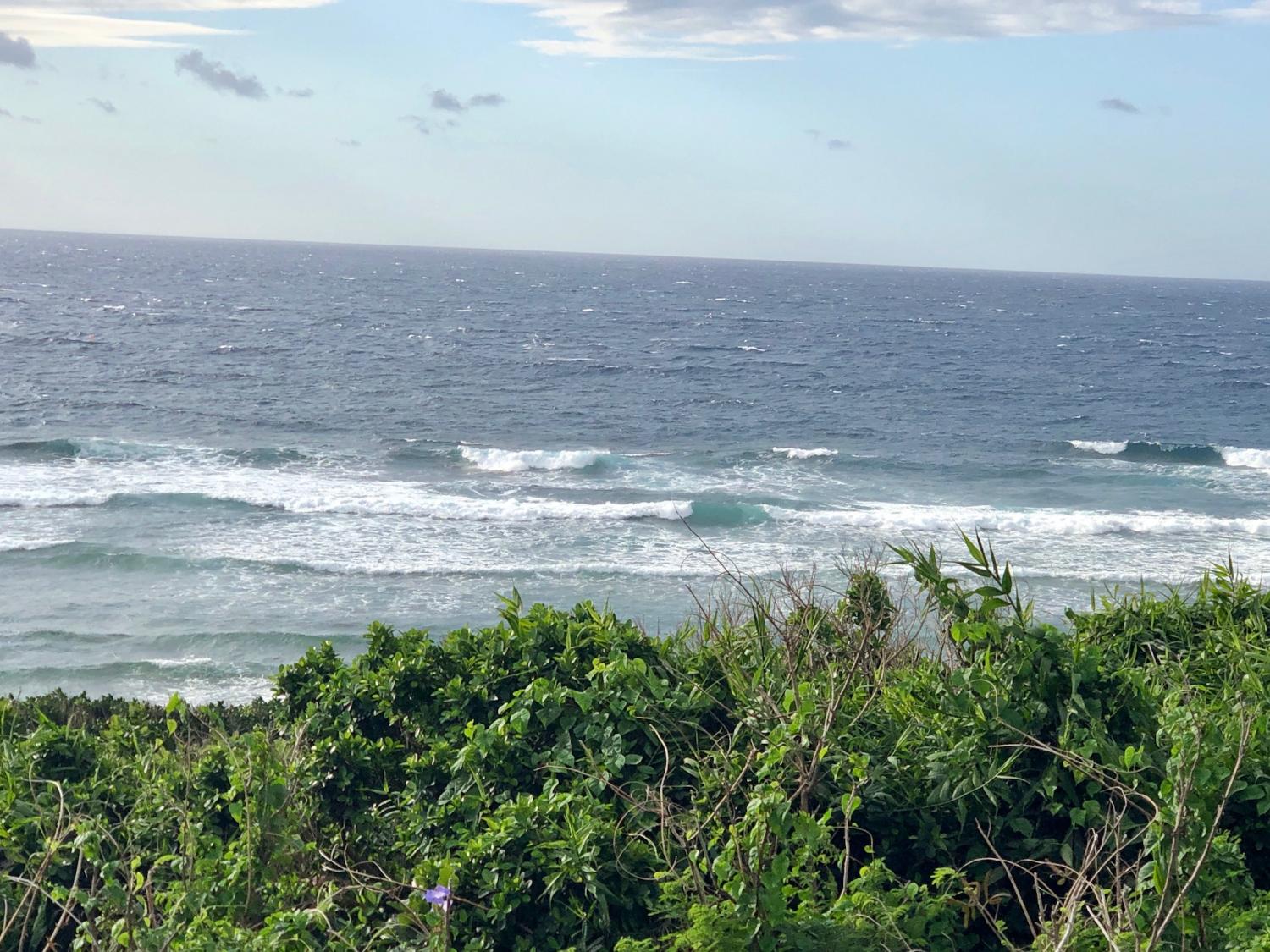 2019 Feb. 22th suicide point wave information 3