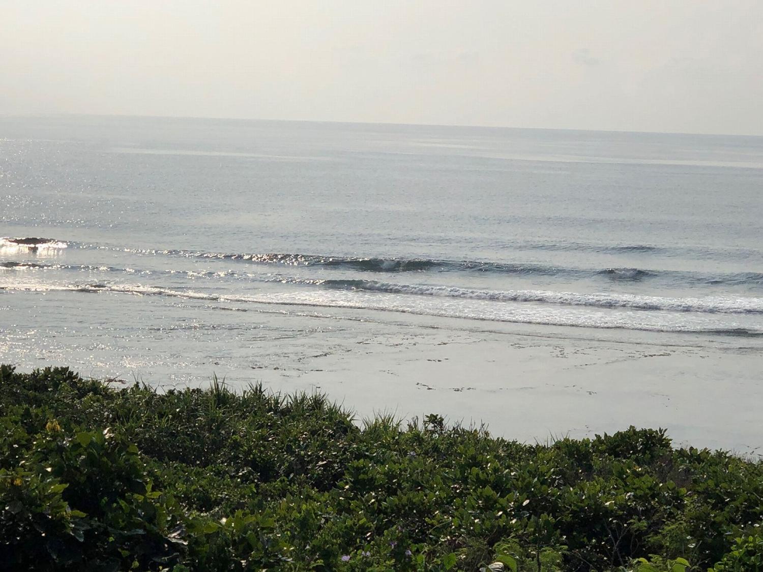 2019 Mar. 2nd suicide point wave information 2