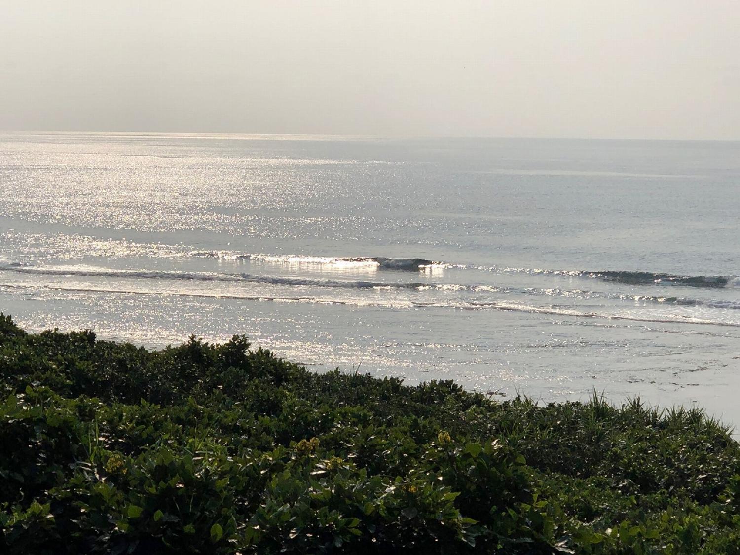 2019 Mar. 2nd suicide point wave information 4