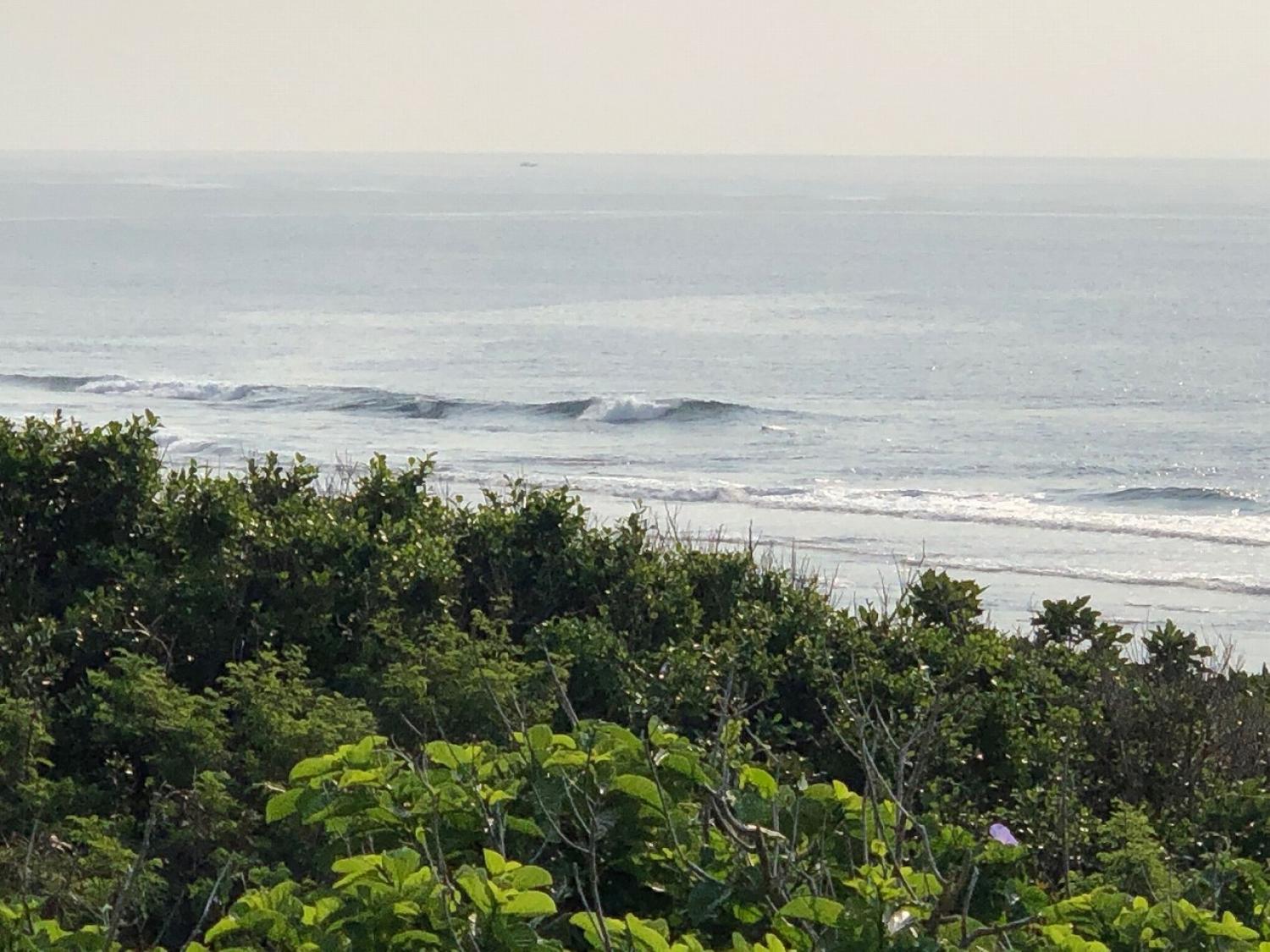 2019 Mar. 2nd suicide point wave information 5