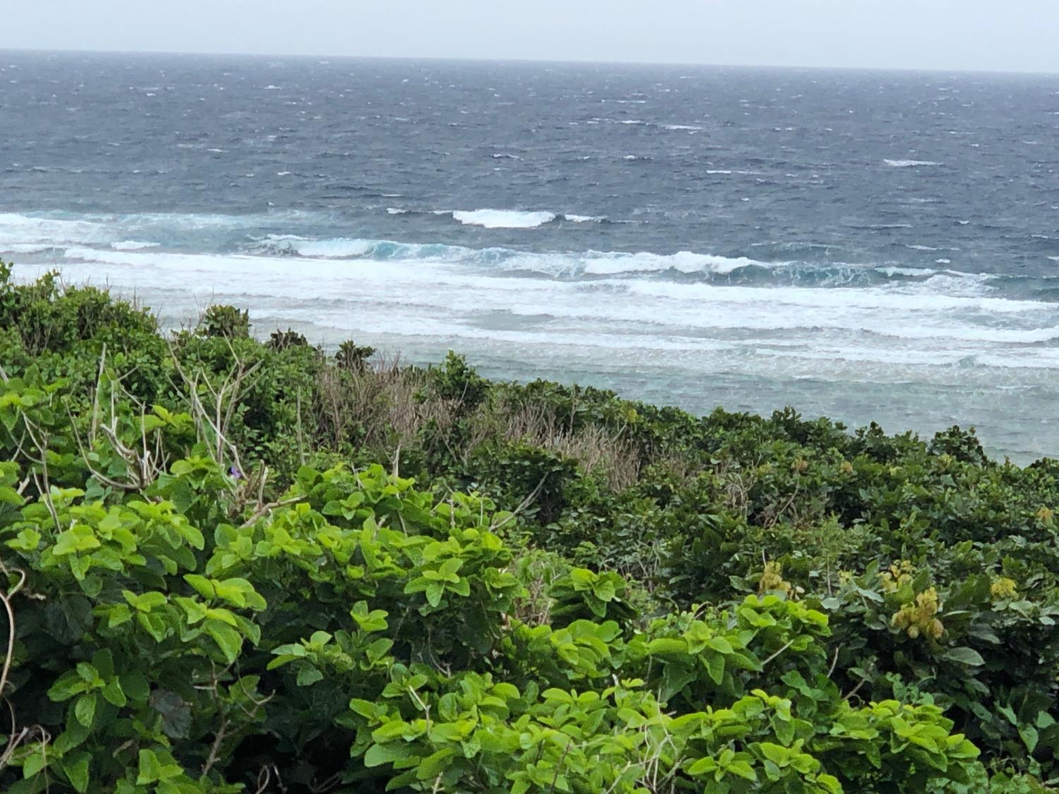 2019 Mar. 9th suicide point wave information 2