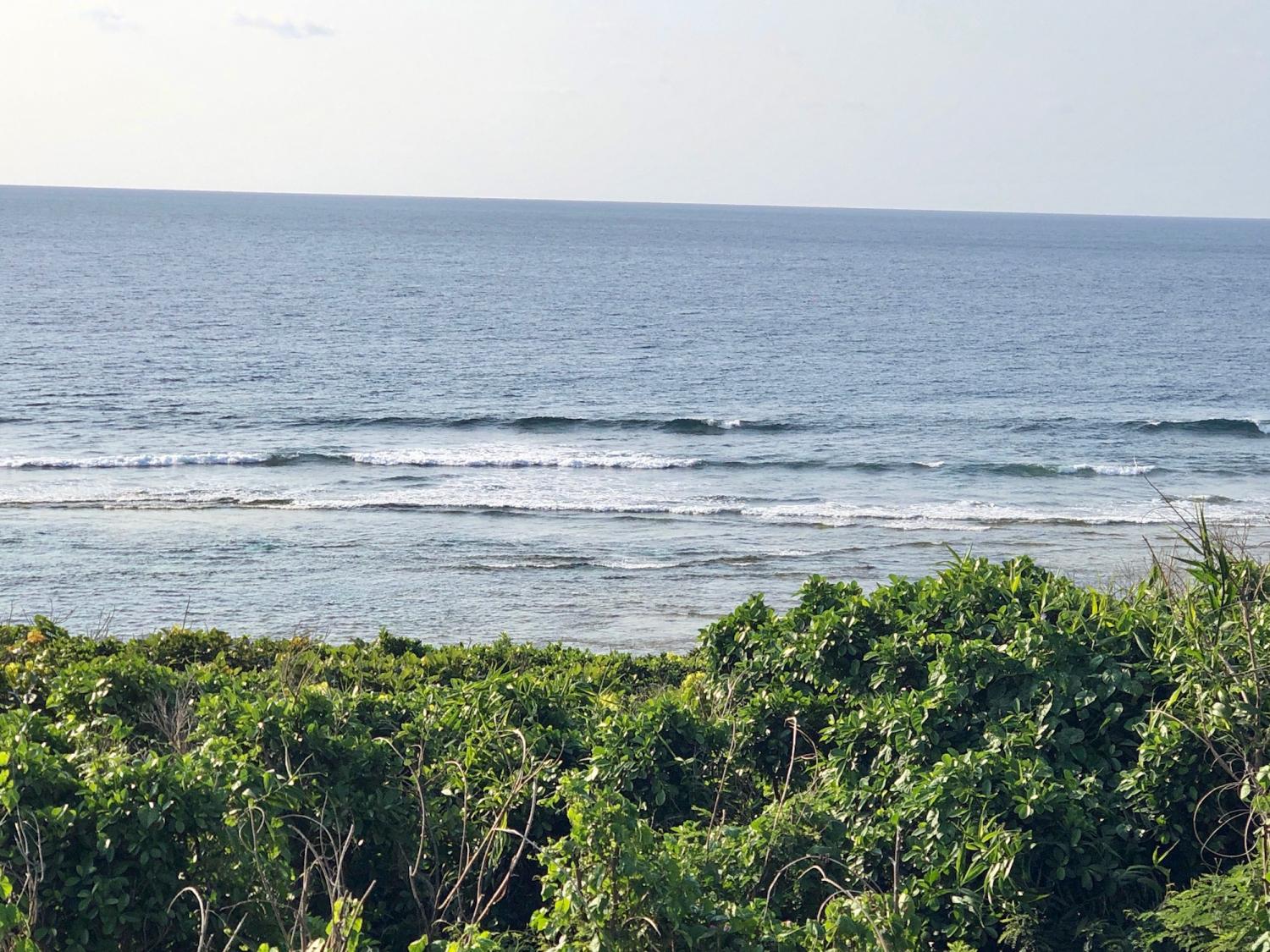 2019 Mar. 14th suicide point wave information 1