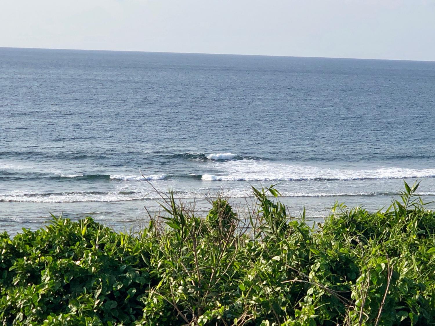 2019 Mar. 14th suicide point wave information 2