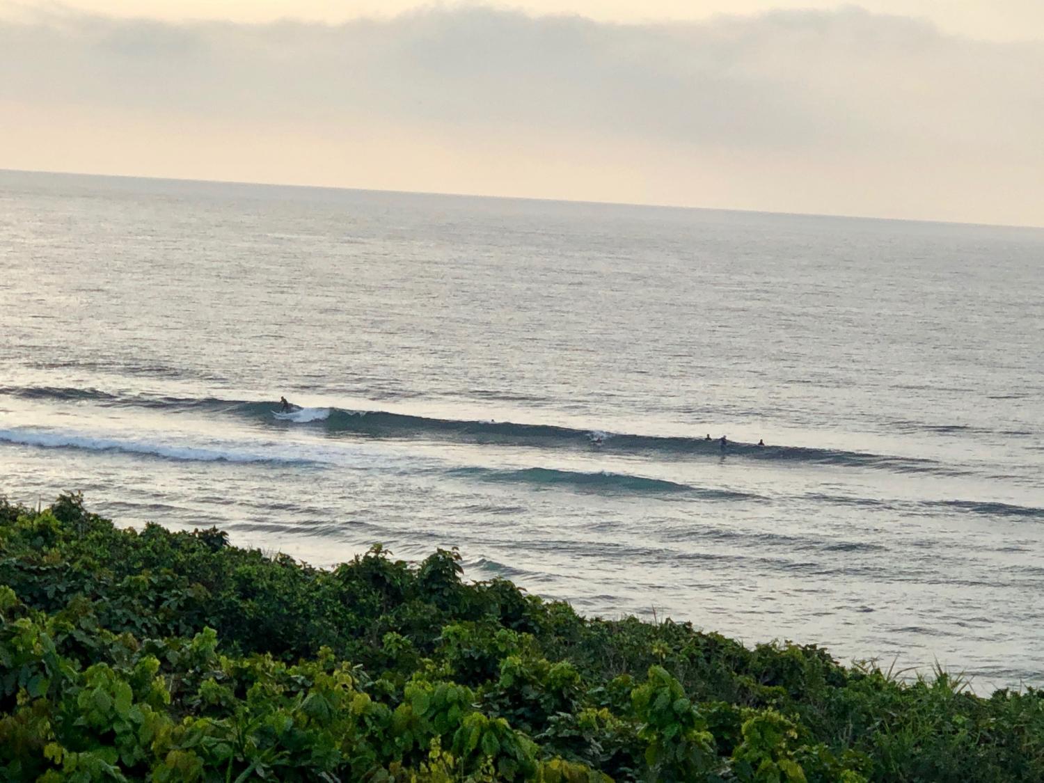 2019 Mar. 22th suicide point wave information 2