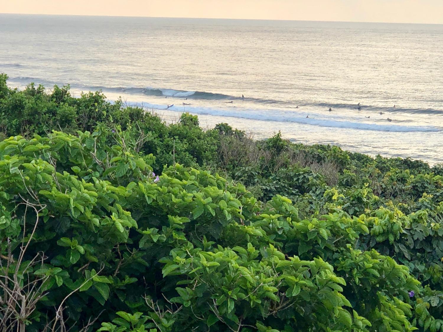 2019 Mar. 22th suicide point wave information 3