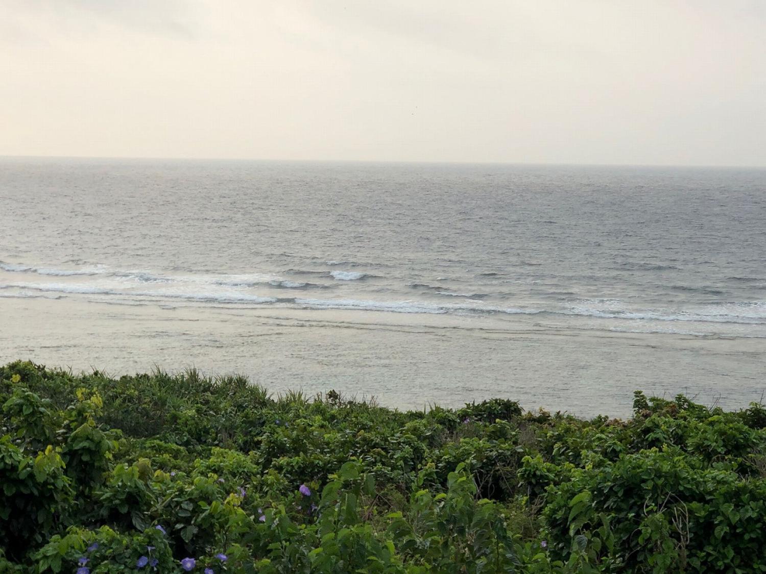 2019 Mar. 29th suicide point wave information 2