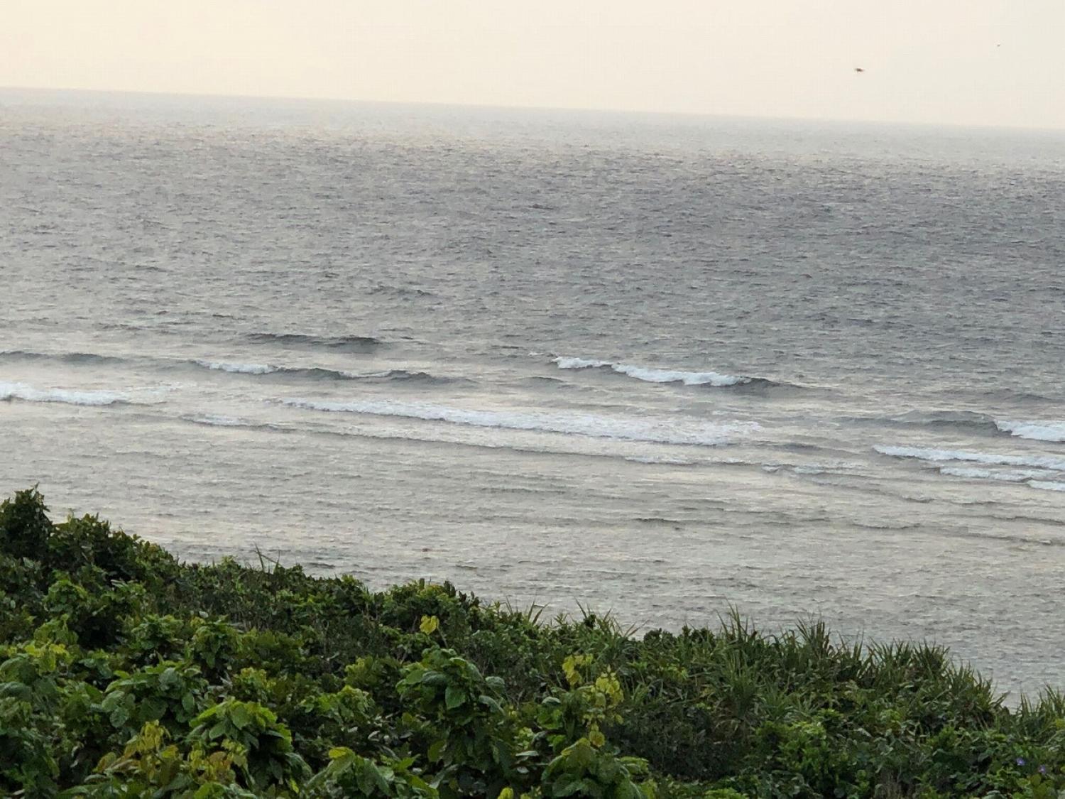 2019 Mar. 29th suicide point wave information 3