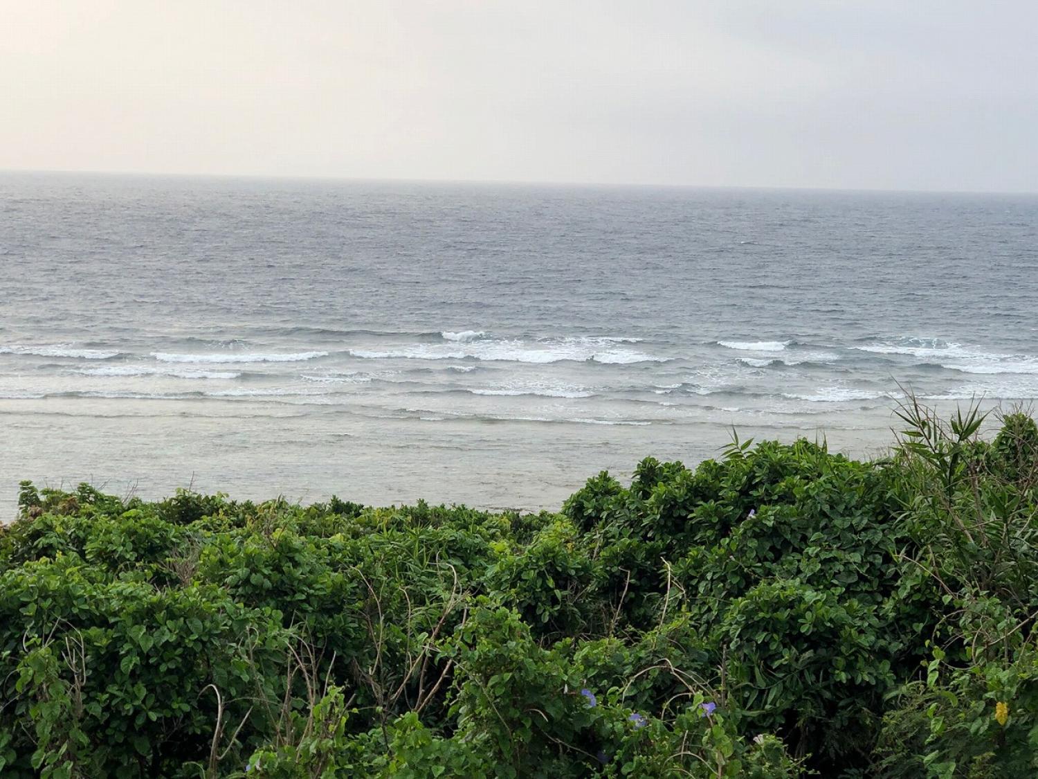 2019 Mar. 29th suicide point wave information 4