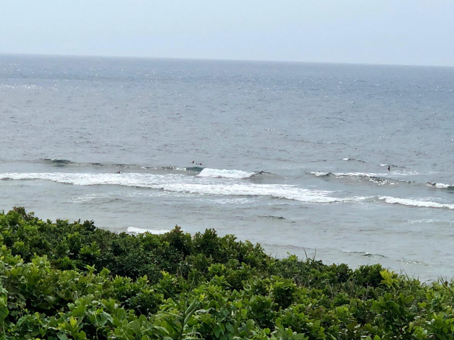 2019 Apr. 25th suicide point wave information 1