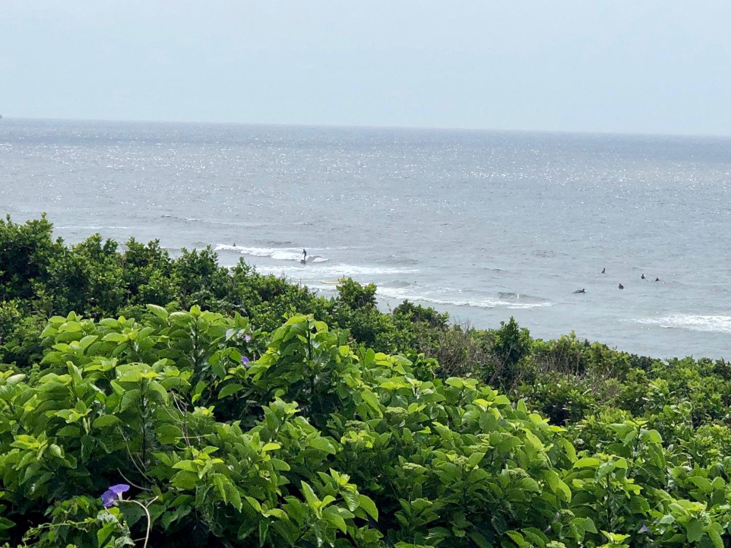 2019 Apr. 25th suicide point wave information 3