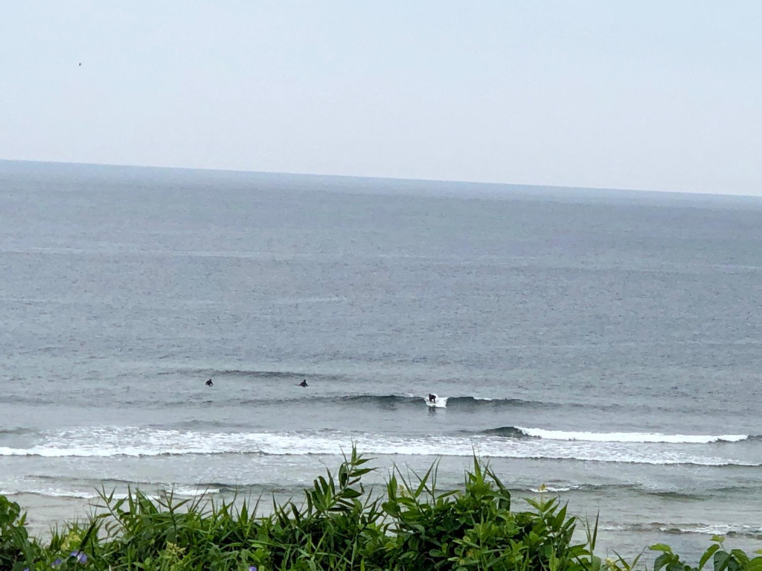 2019 Apr. 26th suicide point wave information