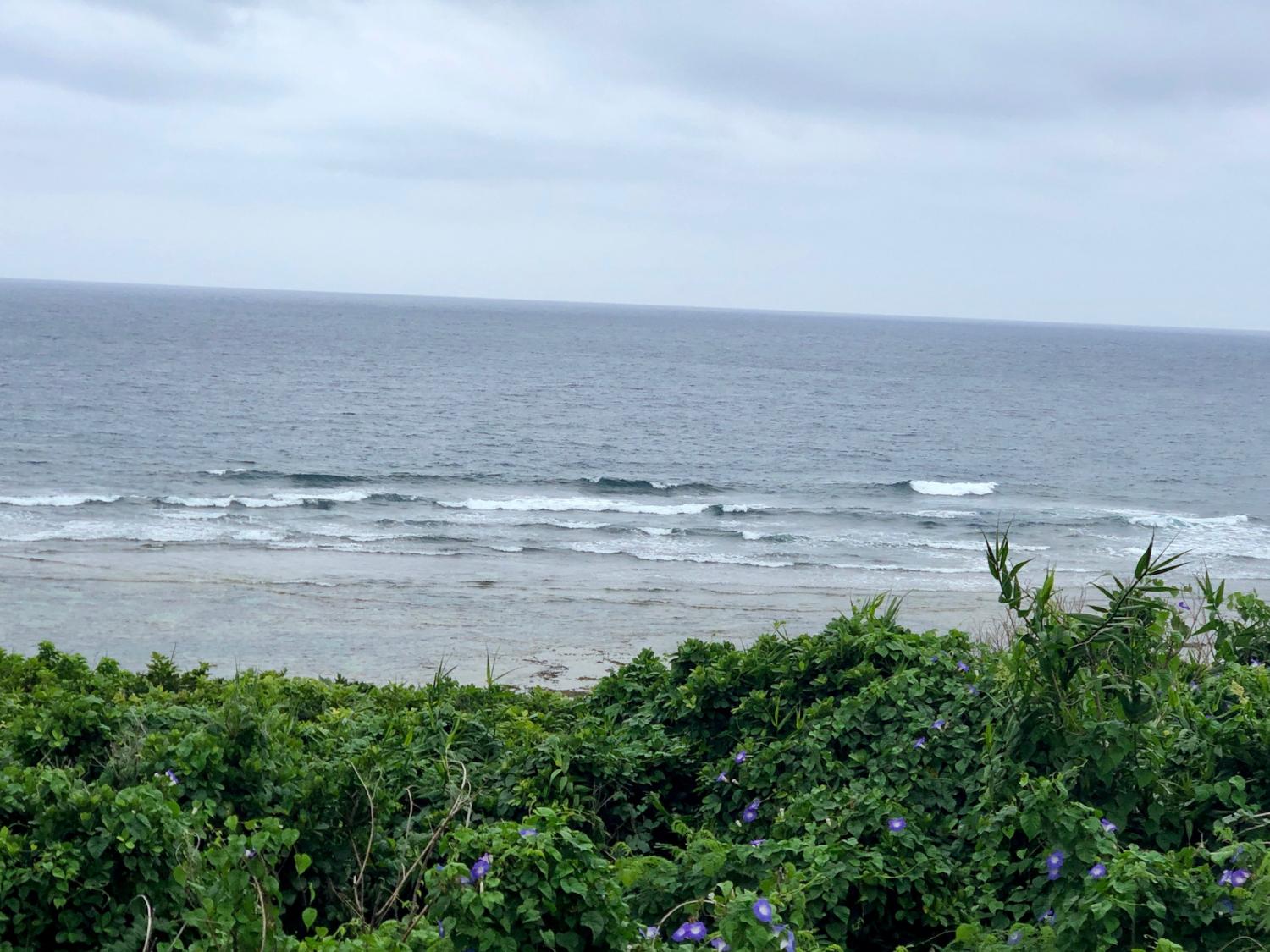 2019 Apr. 28th suicide point wave information 1