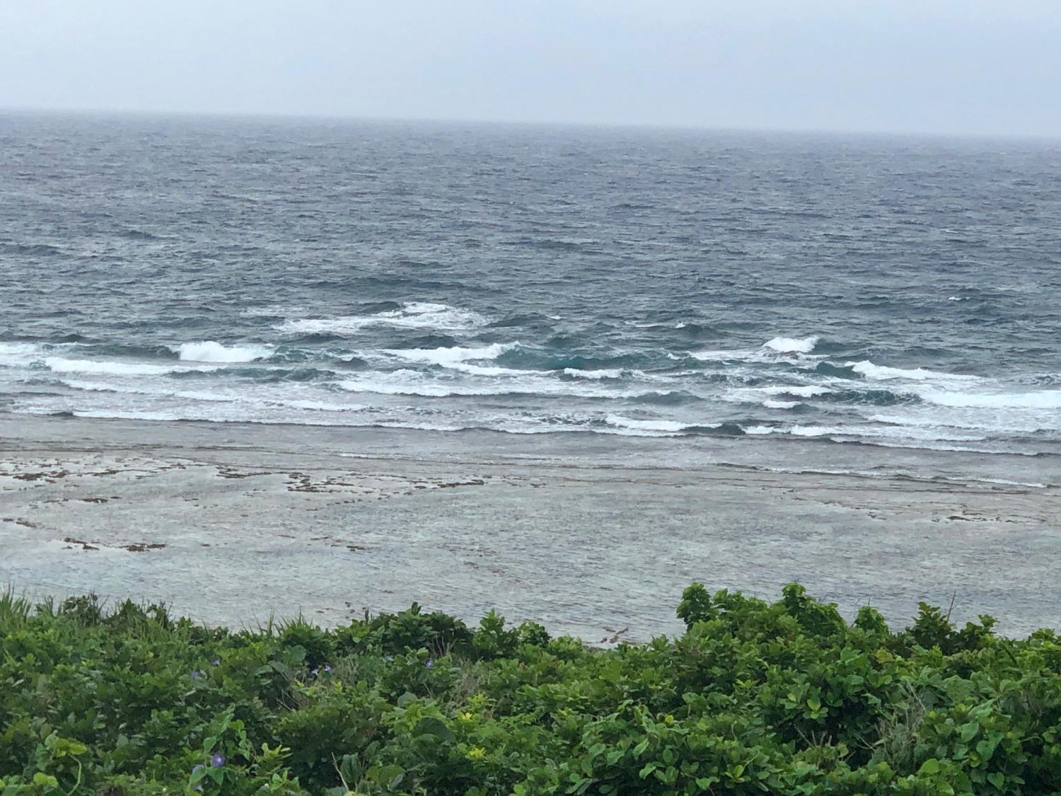 2019 Apr. 29th suicide point wave information