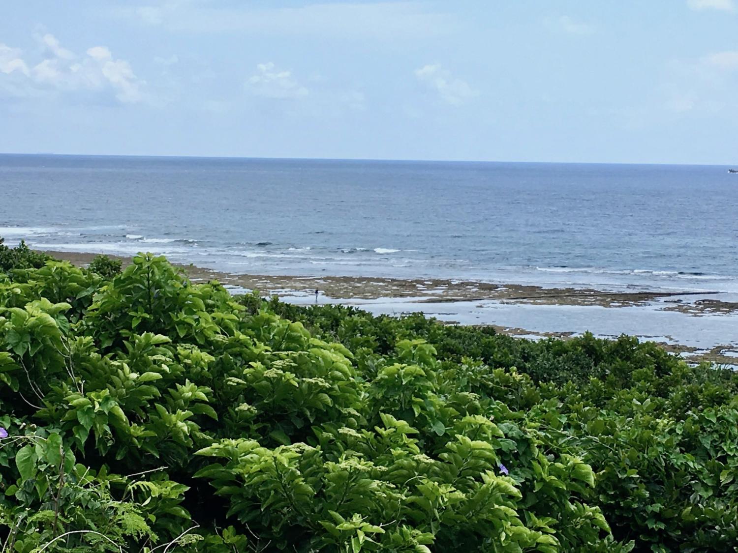 2019 may. 5th suicide point wave information 1