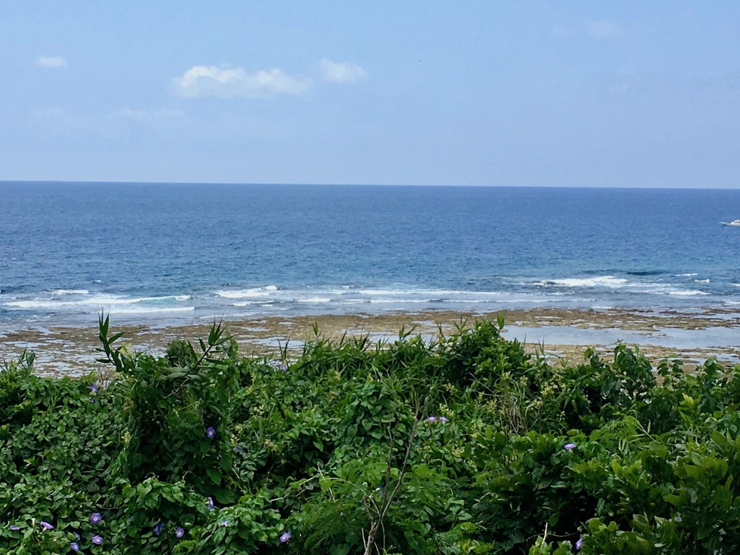 2019 may. 5th suicide point wave information 3