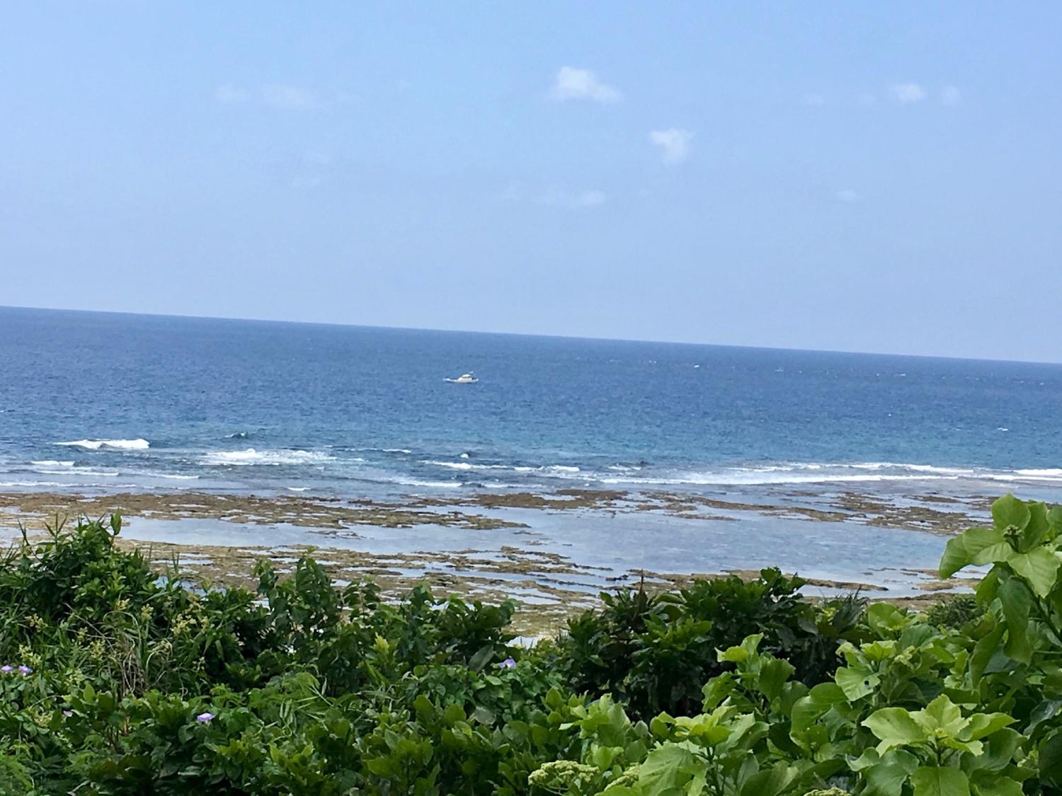 2019 may. 5th suicide point wave information 4