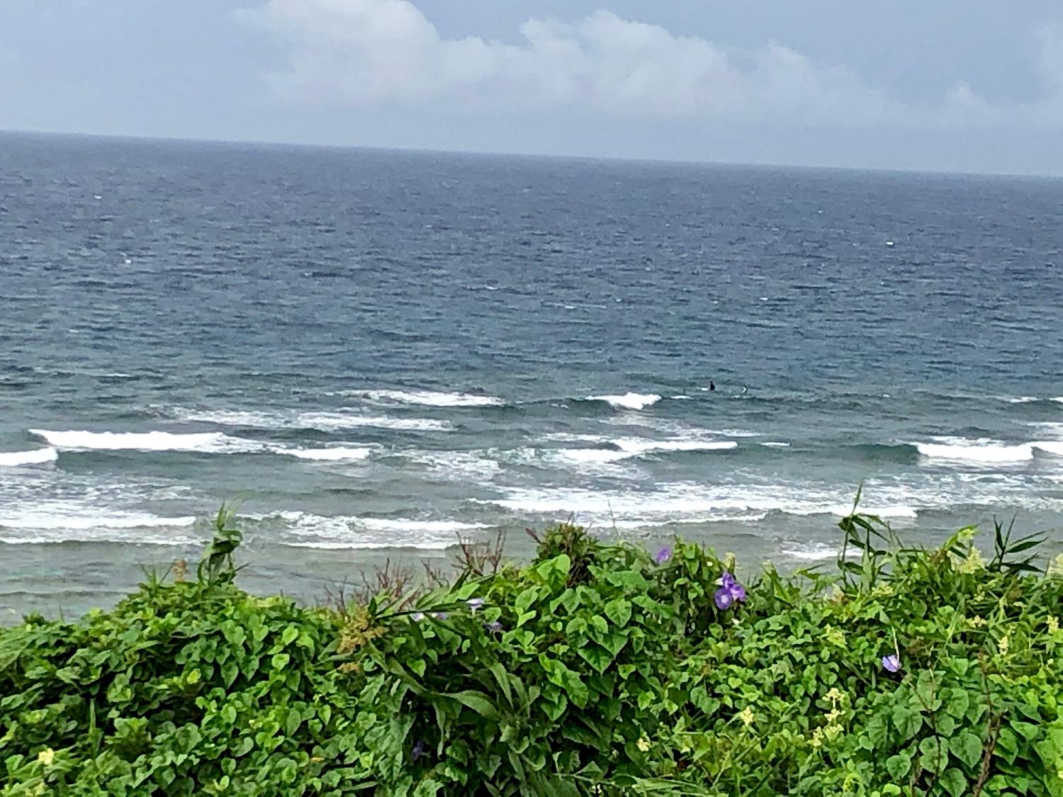 2019 may. 18th suicide point wave information 4