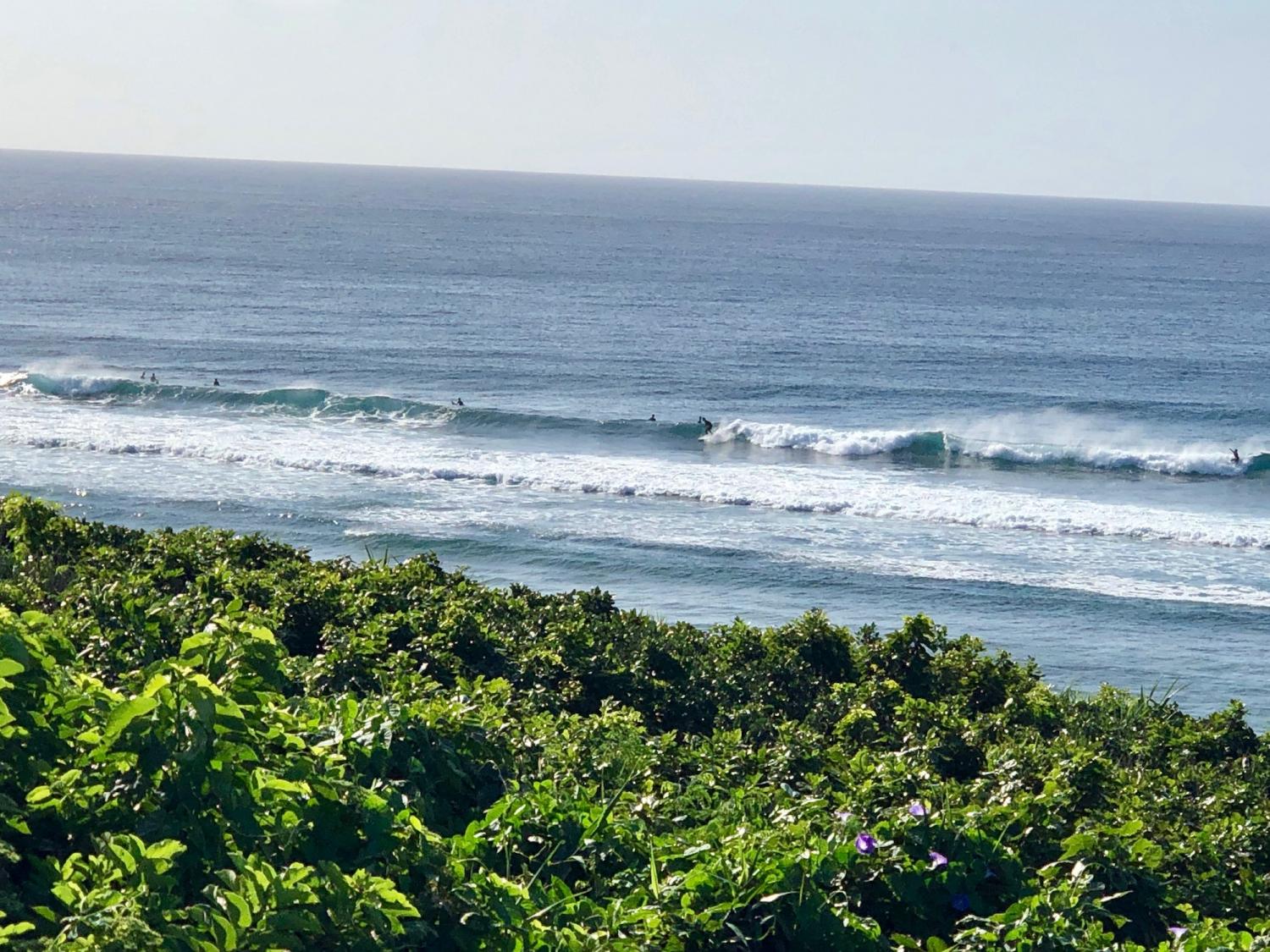 2019 may. 21th suicide point wave information 1