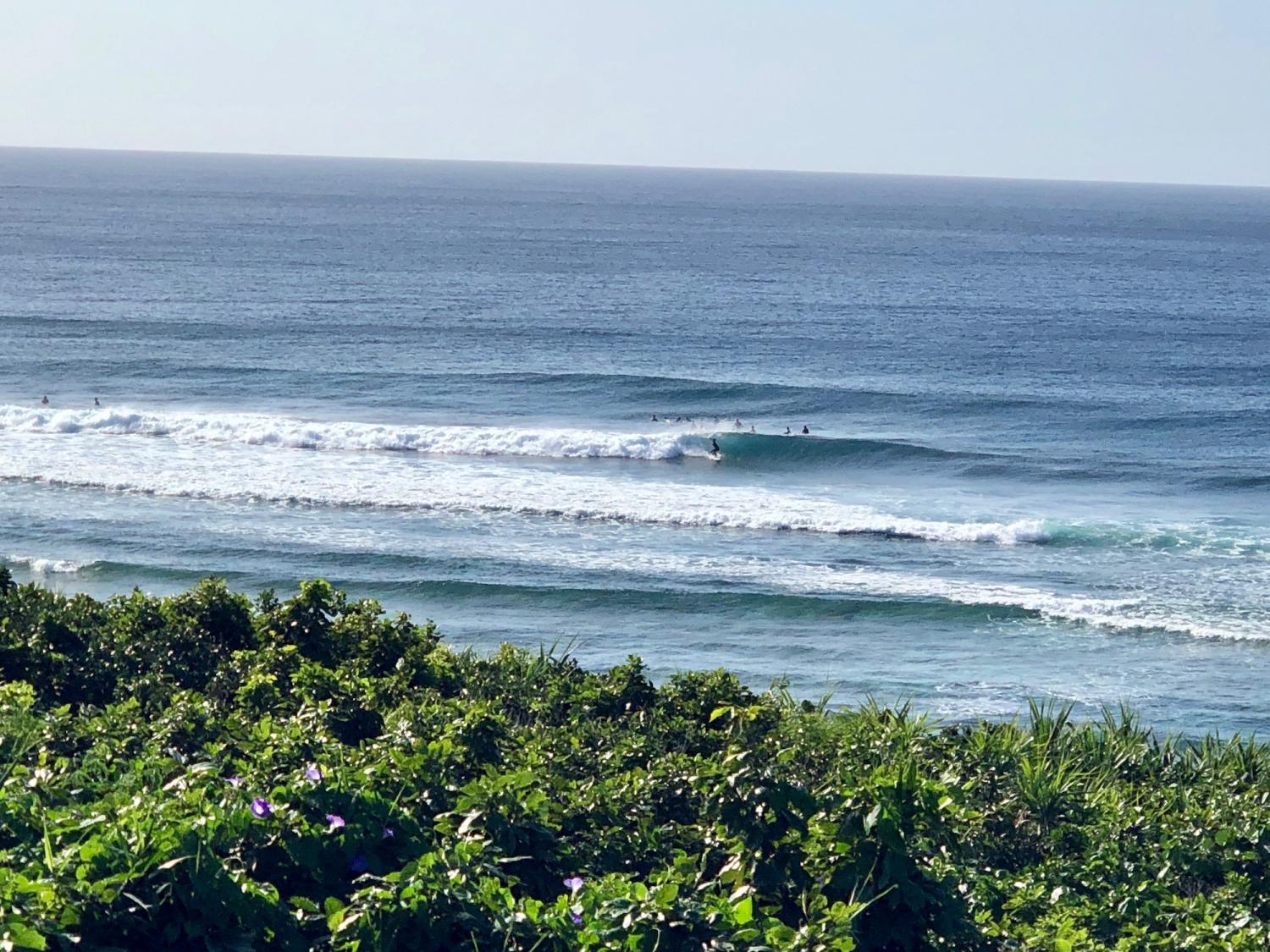 2019 may. 21th suicide point wave information 4