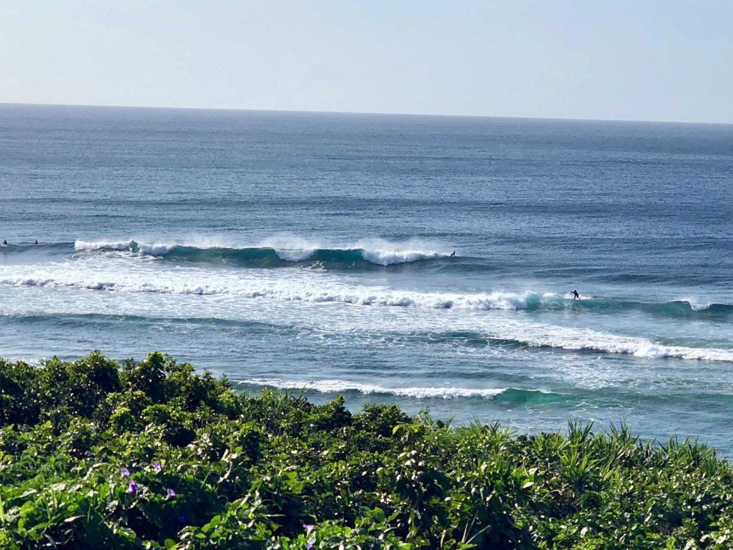 2019 may. 21th suicide point wave information 5