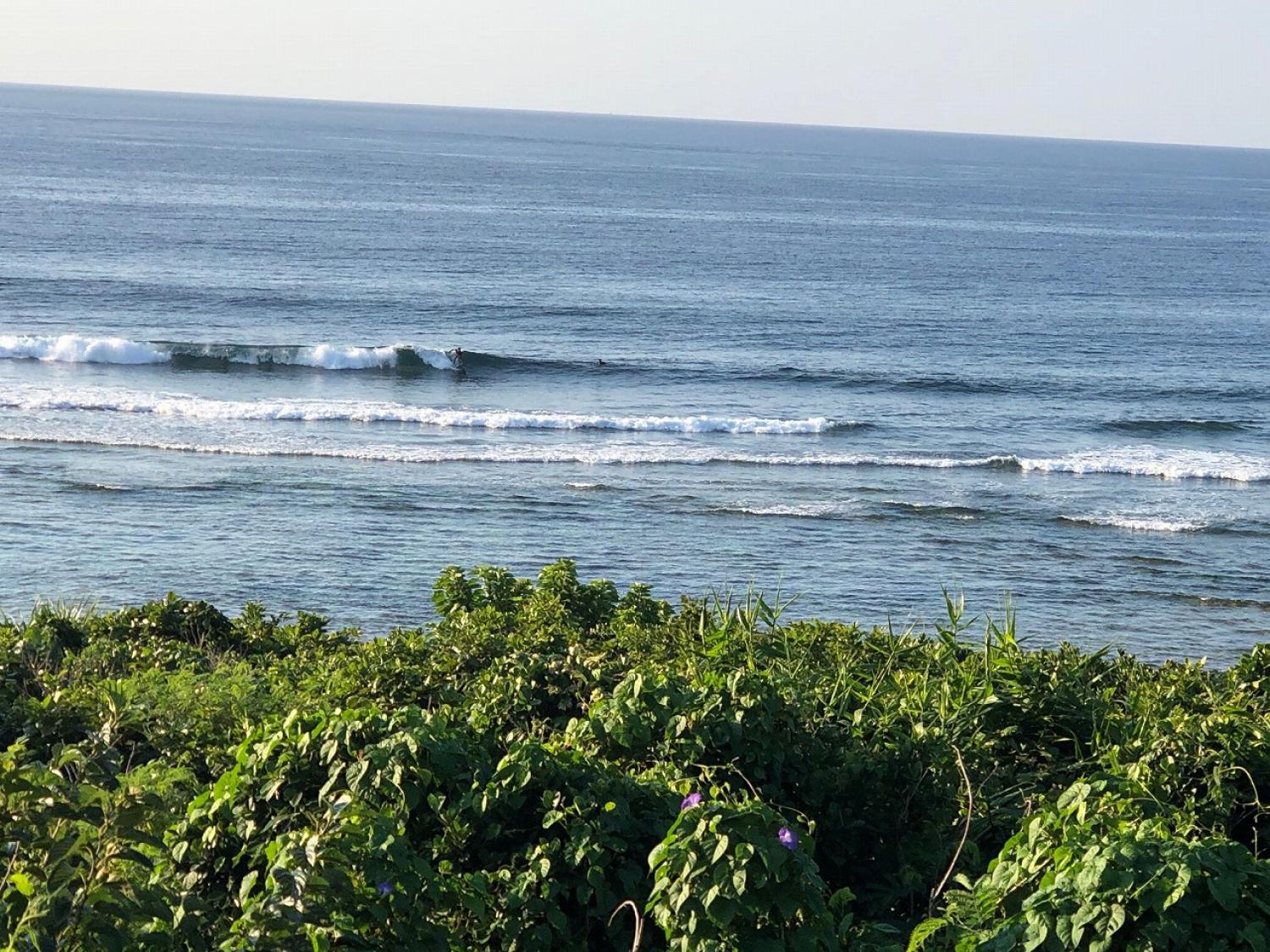 2019 may. 24th suicide point wave information 5