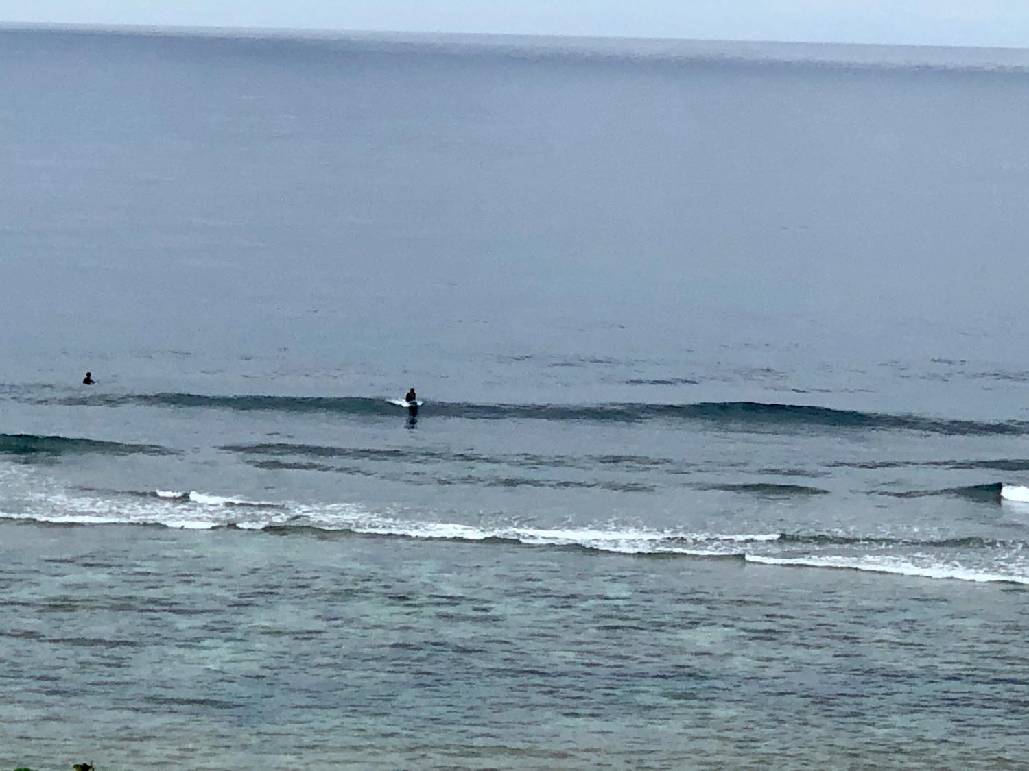 2019 June. 1st suicide point wave information 5