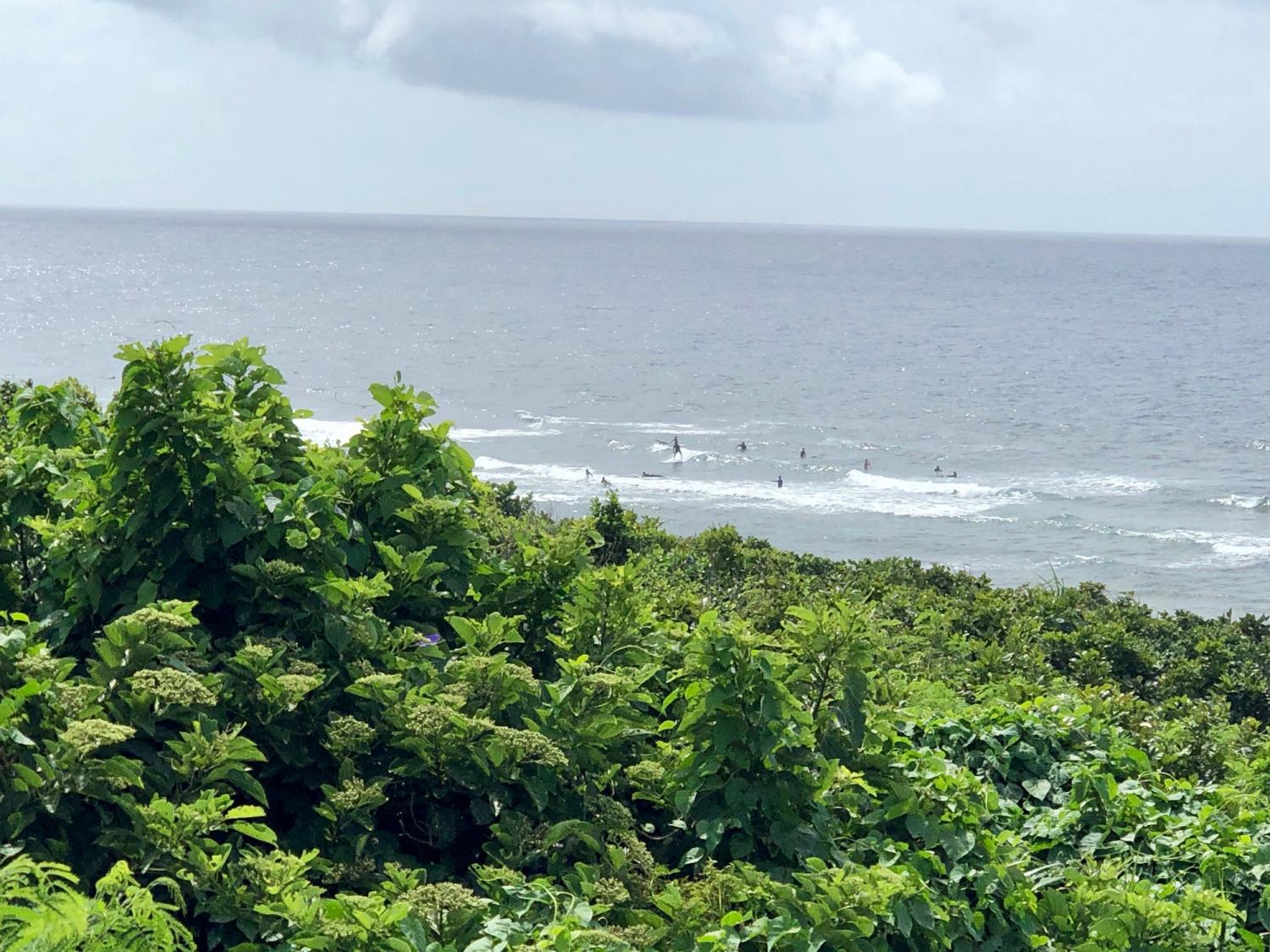2019 June 20th suicide point wave information 1