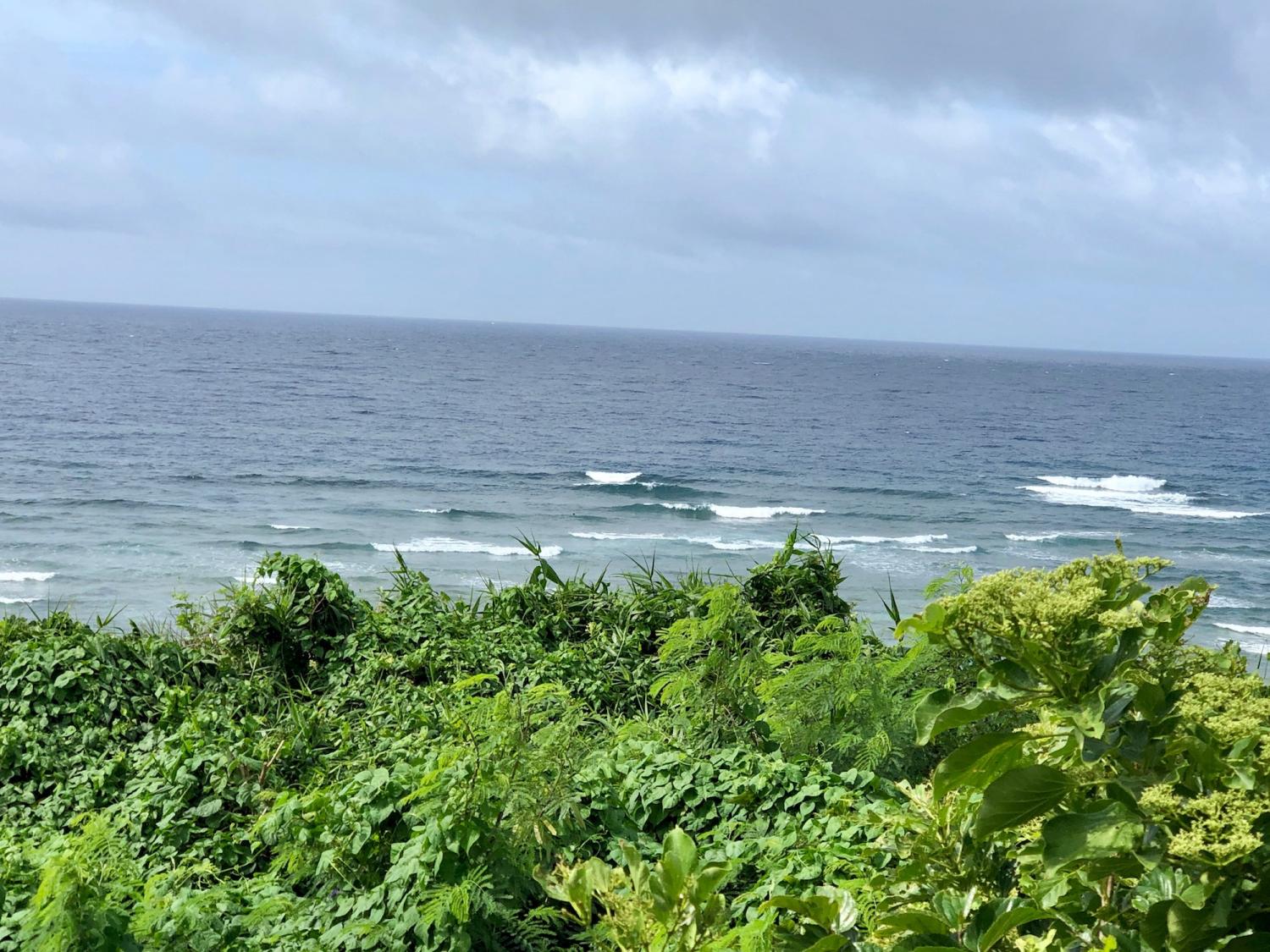2019 June 20th suicide point wave information 4