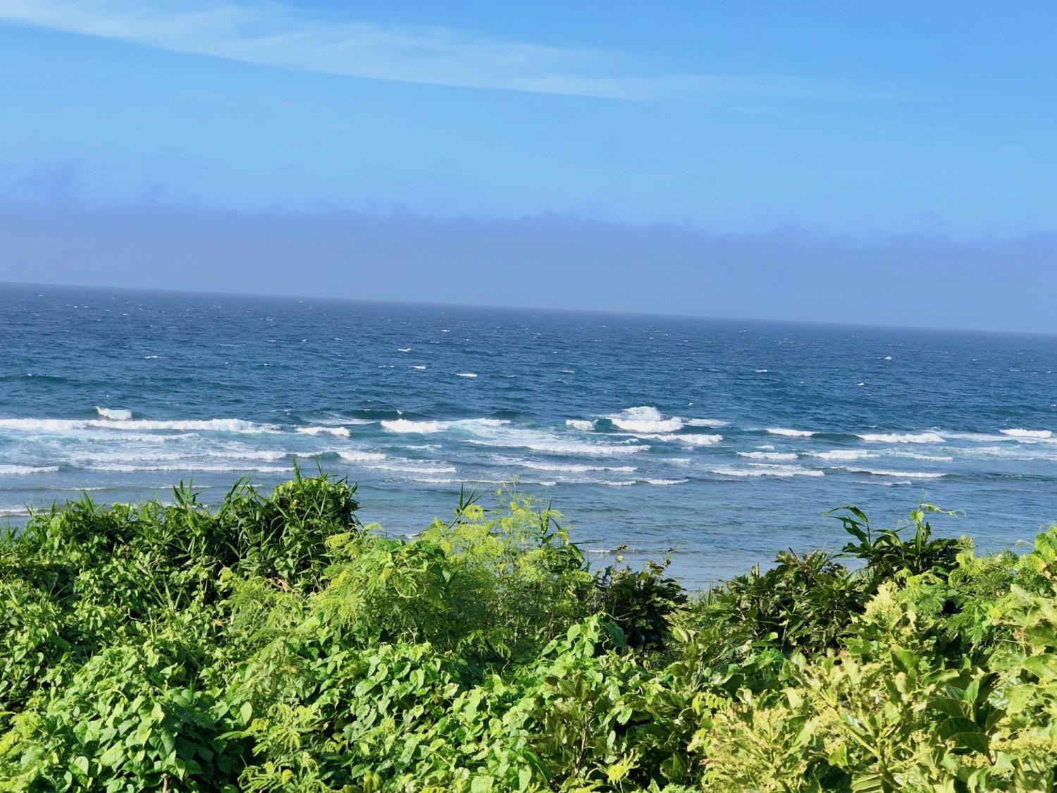 2019 July 1st suicide point wave information 1