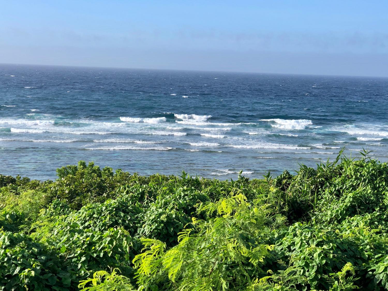 2019 July 1st suicide point wave information 2