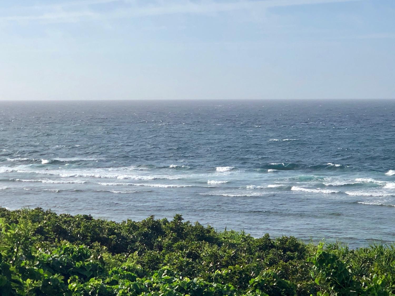 2019 July 1st suicide point wave information 3