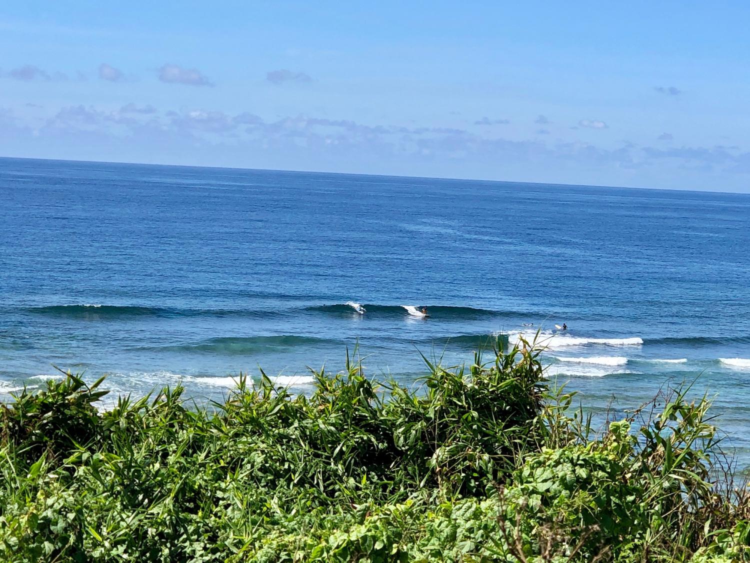 2019 July 23th suicide point wave information 1