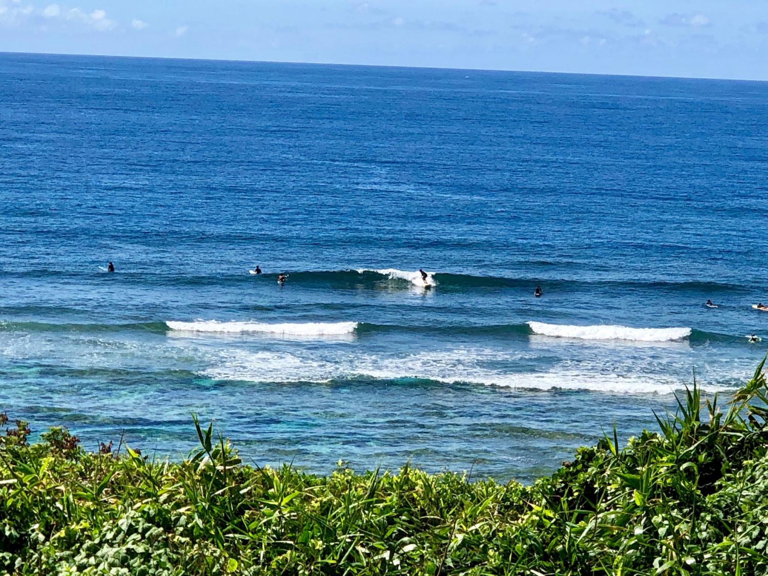 2019 July 23th suicide point wave information 2