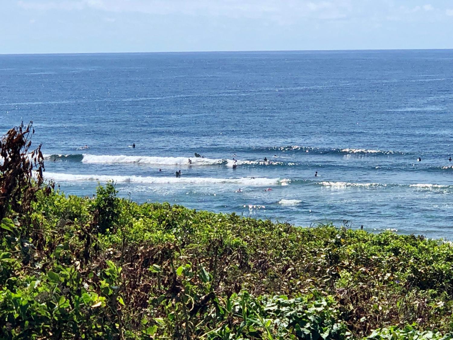 2019 July 23th suicide point wave information 3
