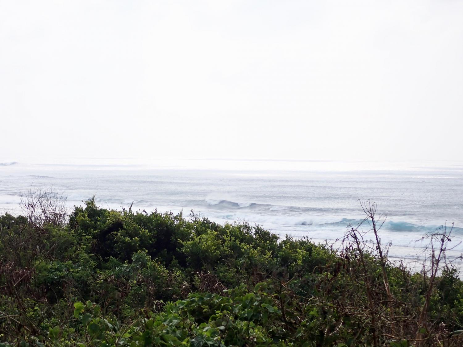 2019 Aug 13th suicide point wave information 4