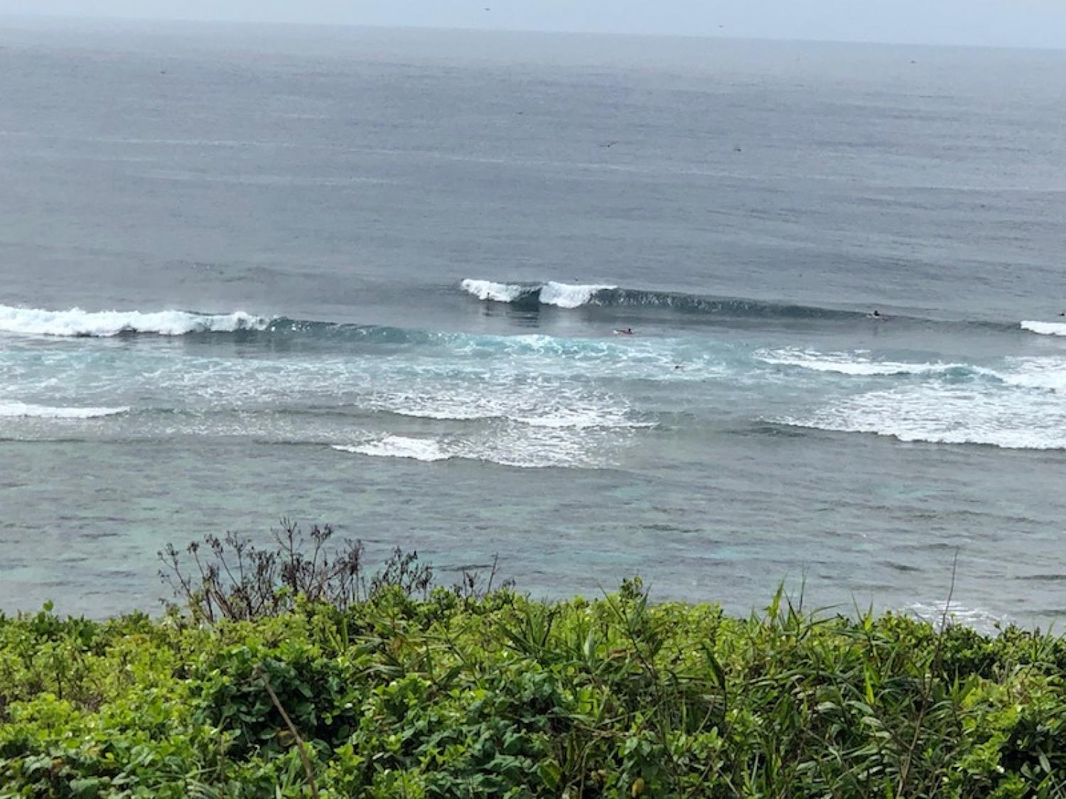 2019 Aug 17th suicide point wave information 1