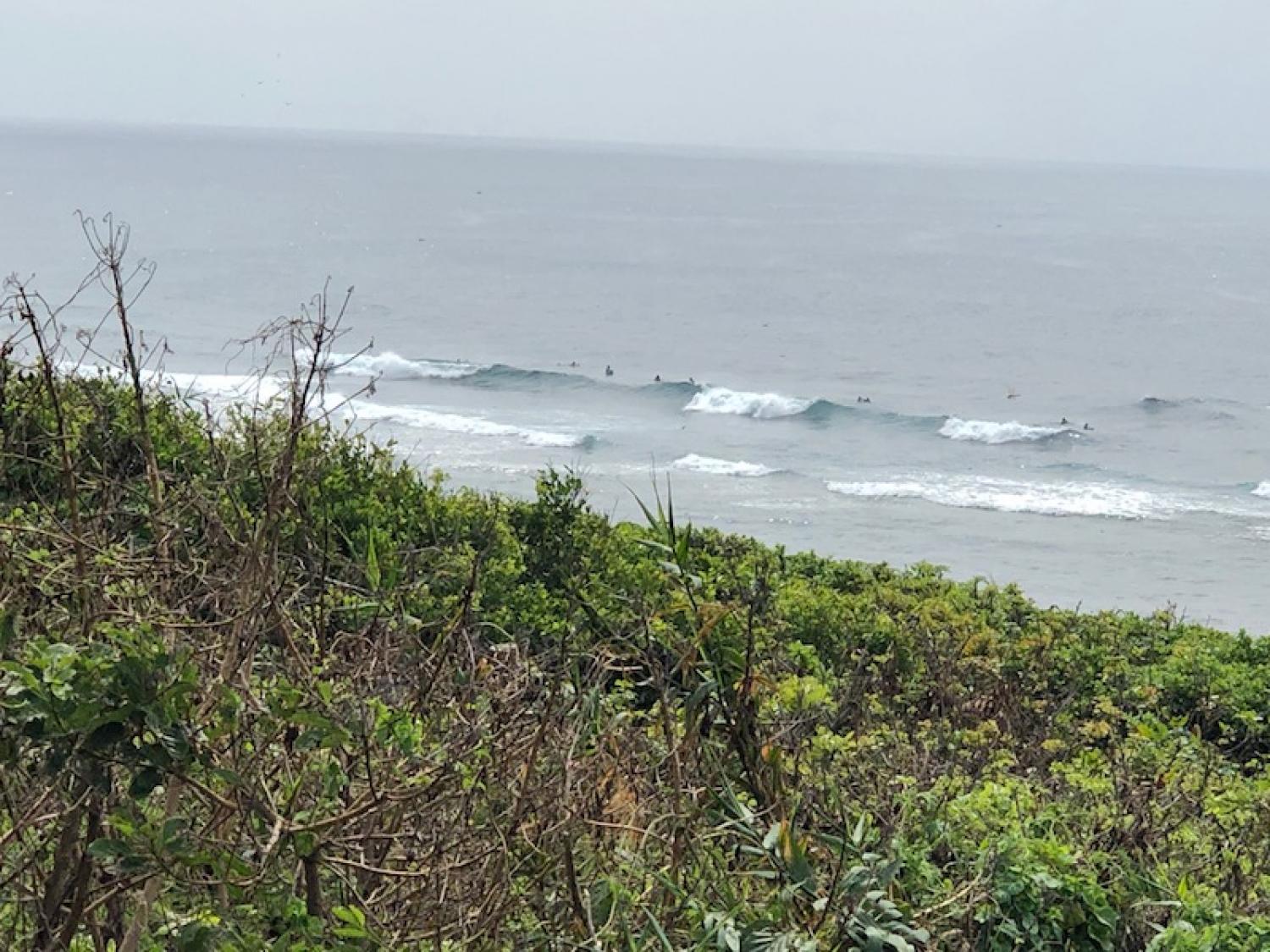 2019 Aug 17th suicide point wave information 3