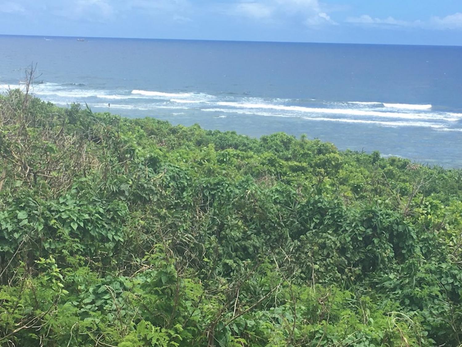 2019 Aug 22th suicide point wave information 1