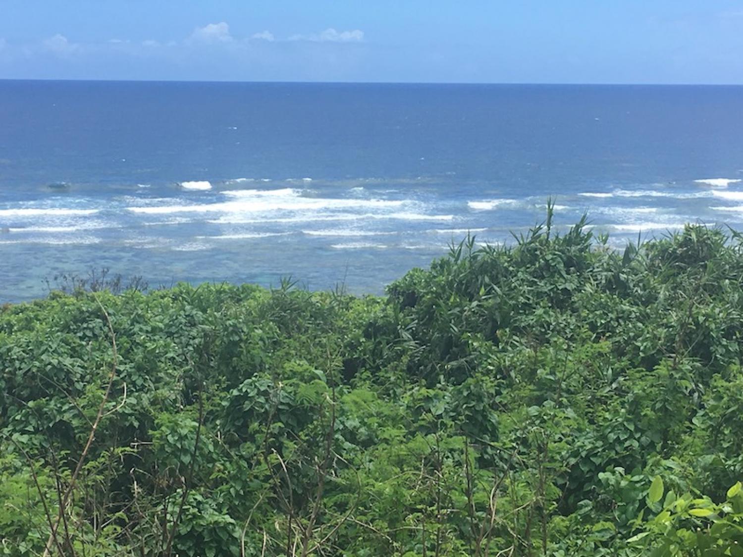 2019 Aug 22th suicide point wave information 2
