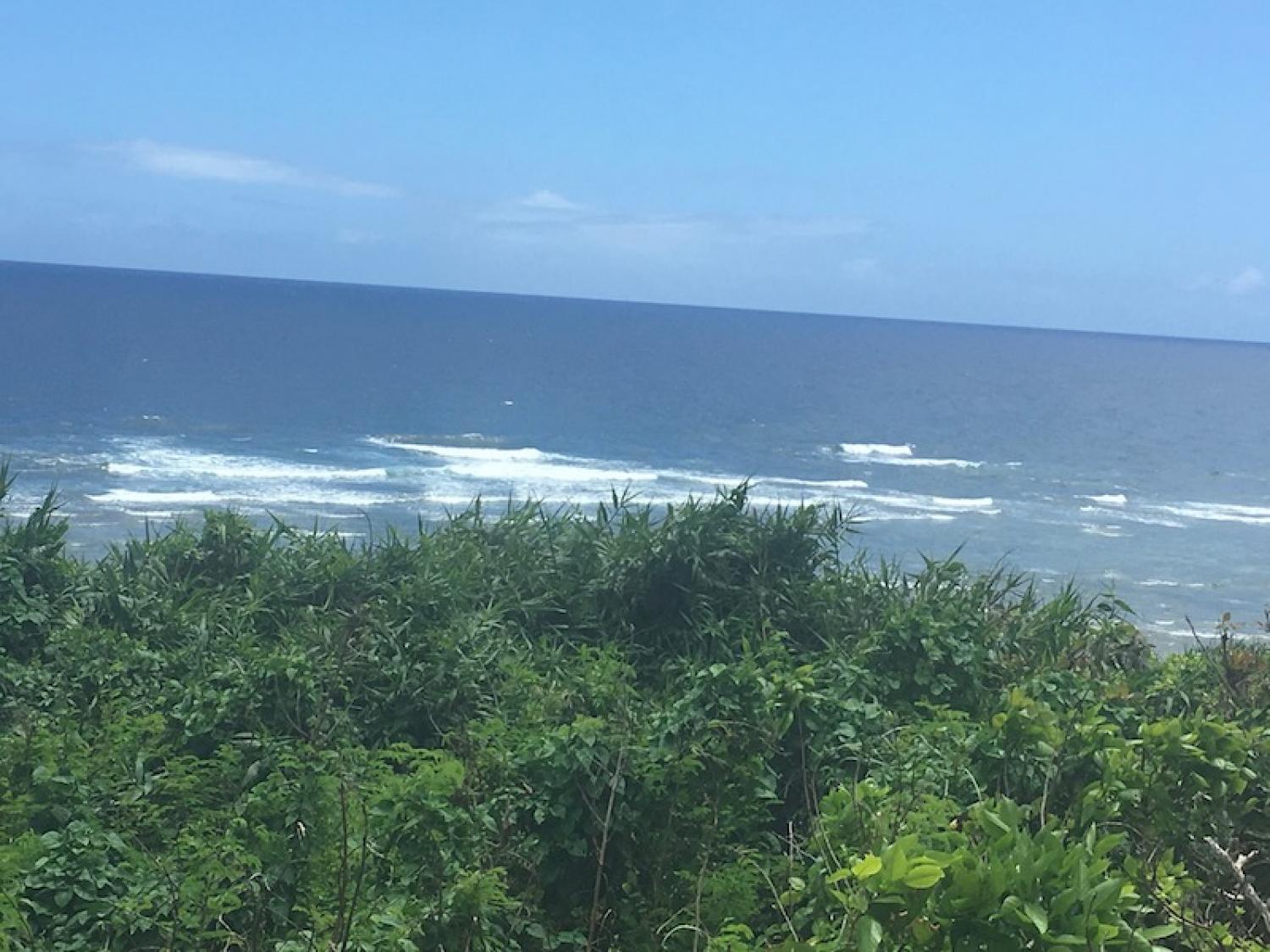 2019 Aug 22th suicide point wave information 3