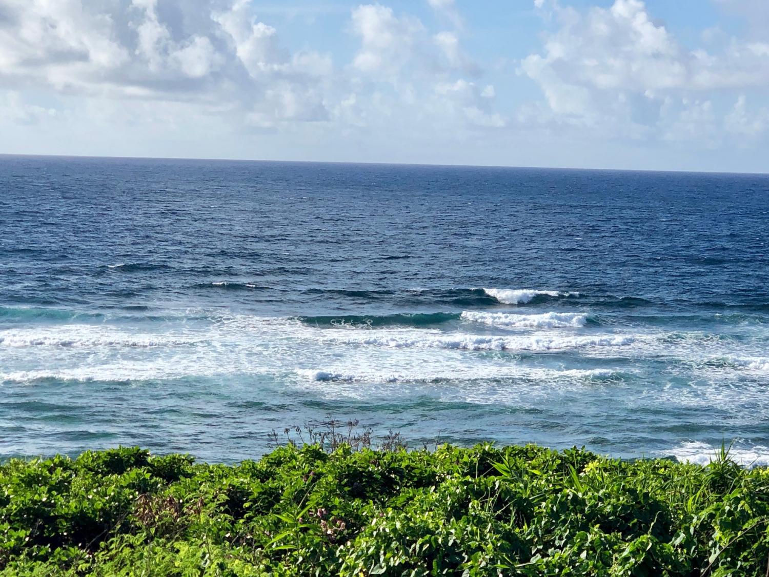 2019 Sep 2nd suicide point wave information 2