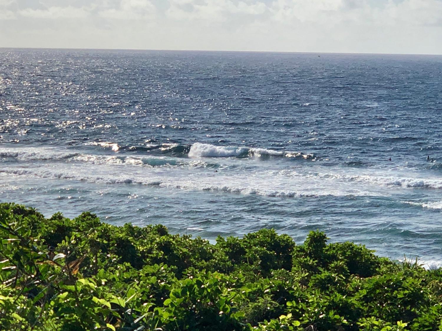 2019 Sep 2nd suicide point wave information 4